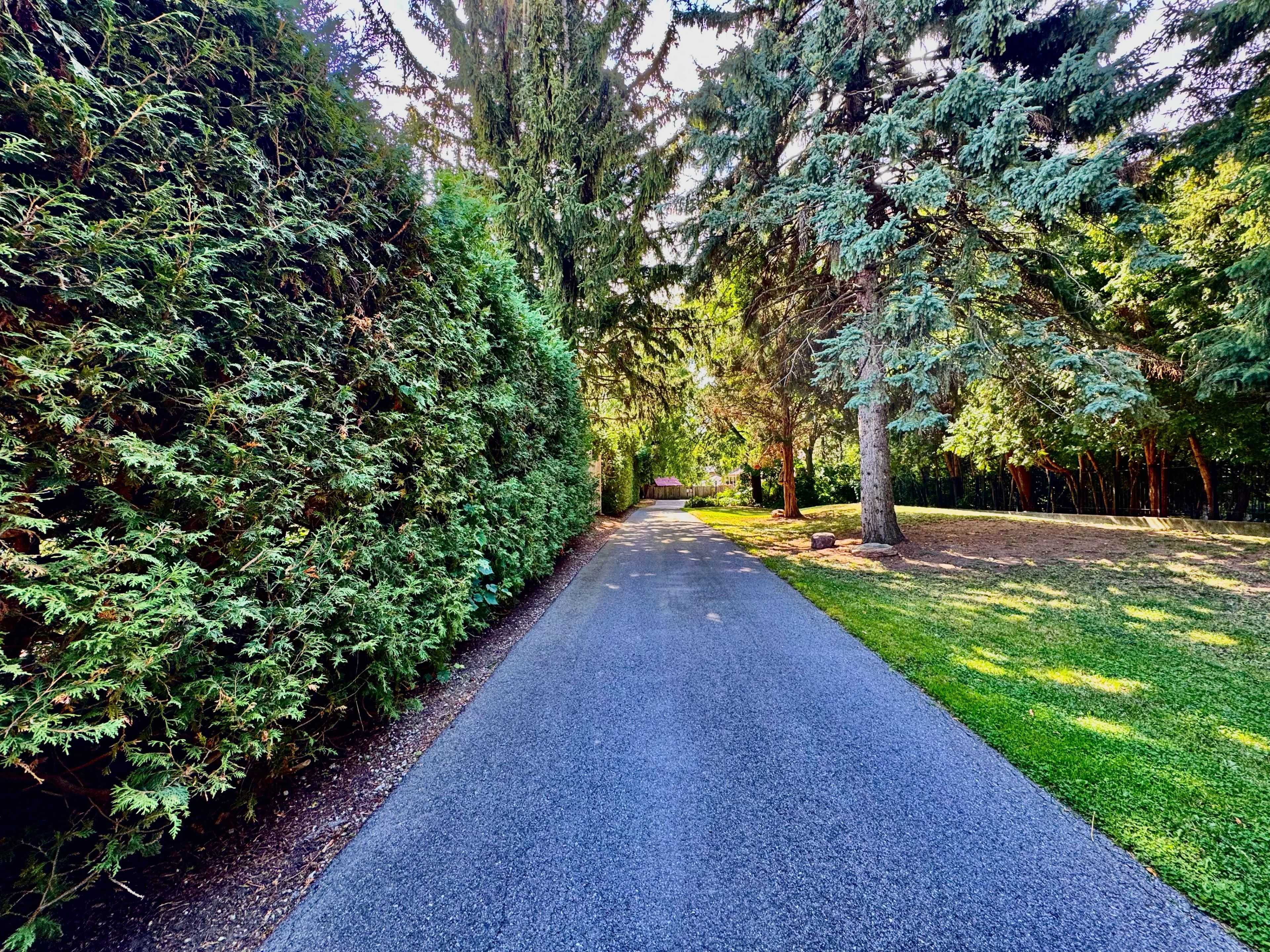 Toronto W09, ON M9P 1Y3,85 Yorkleigh AVE