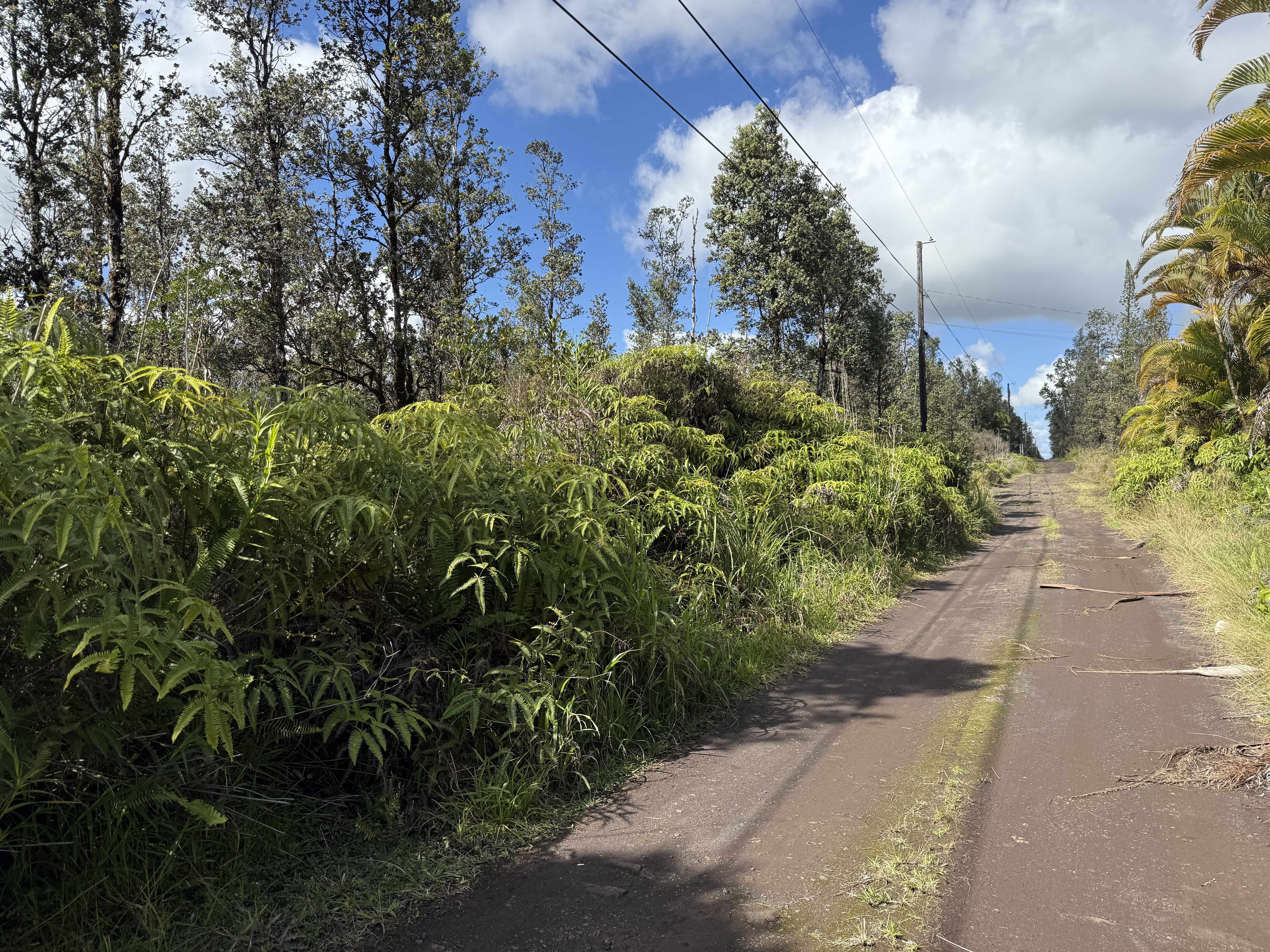 Mountain View, HI 96760,ROAD 2 (AO)