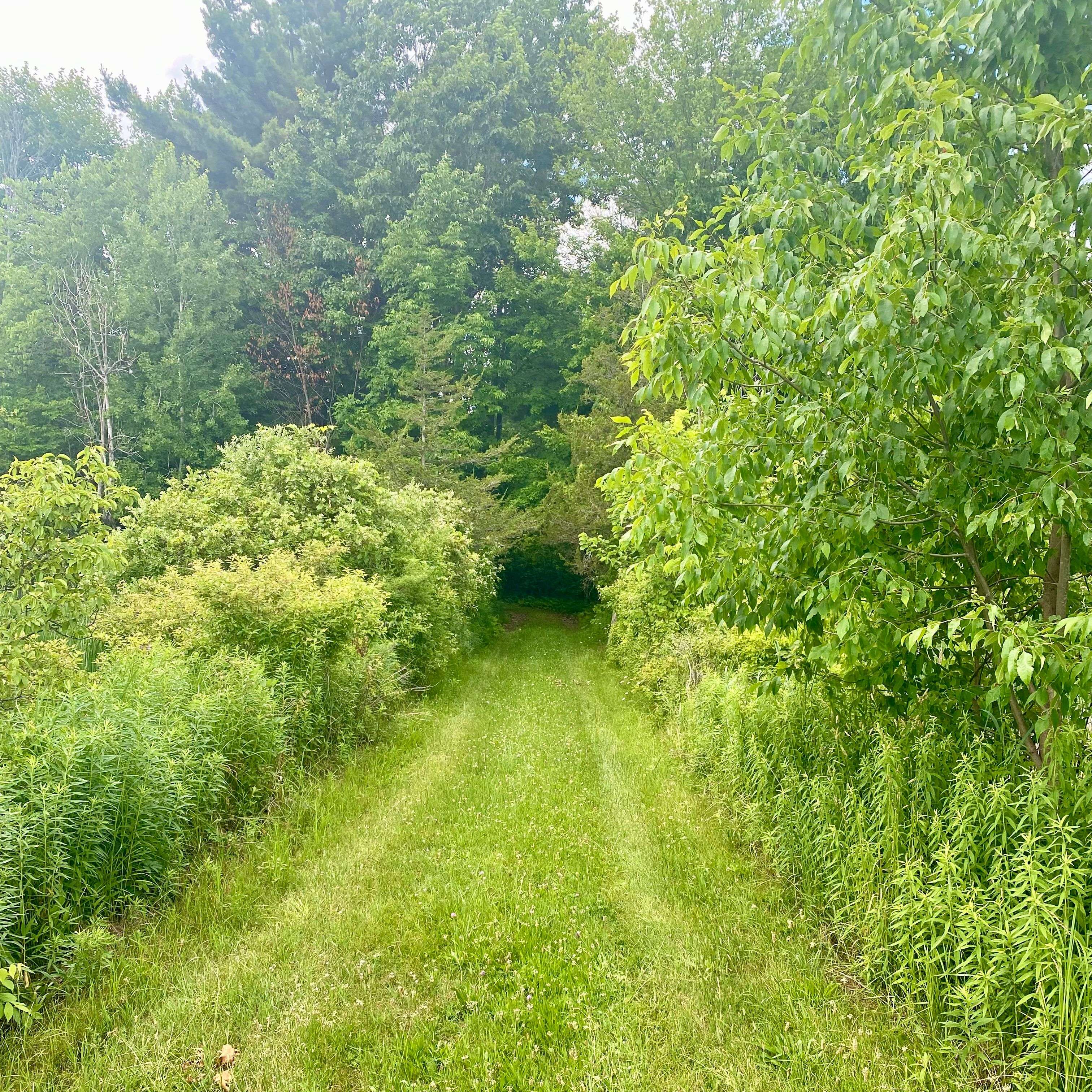 Front Of Yonge, ON K0E 1R0,1166 Thousand Islands Pkwy