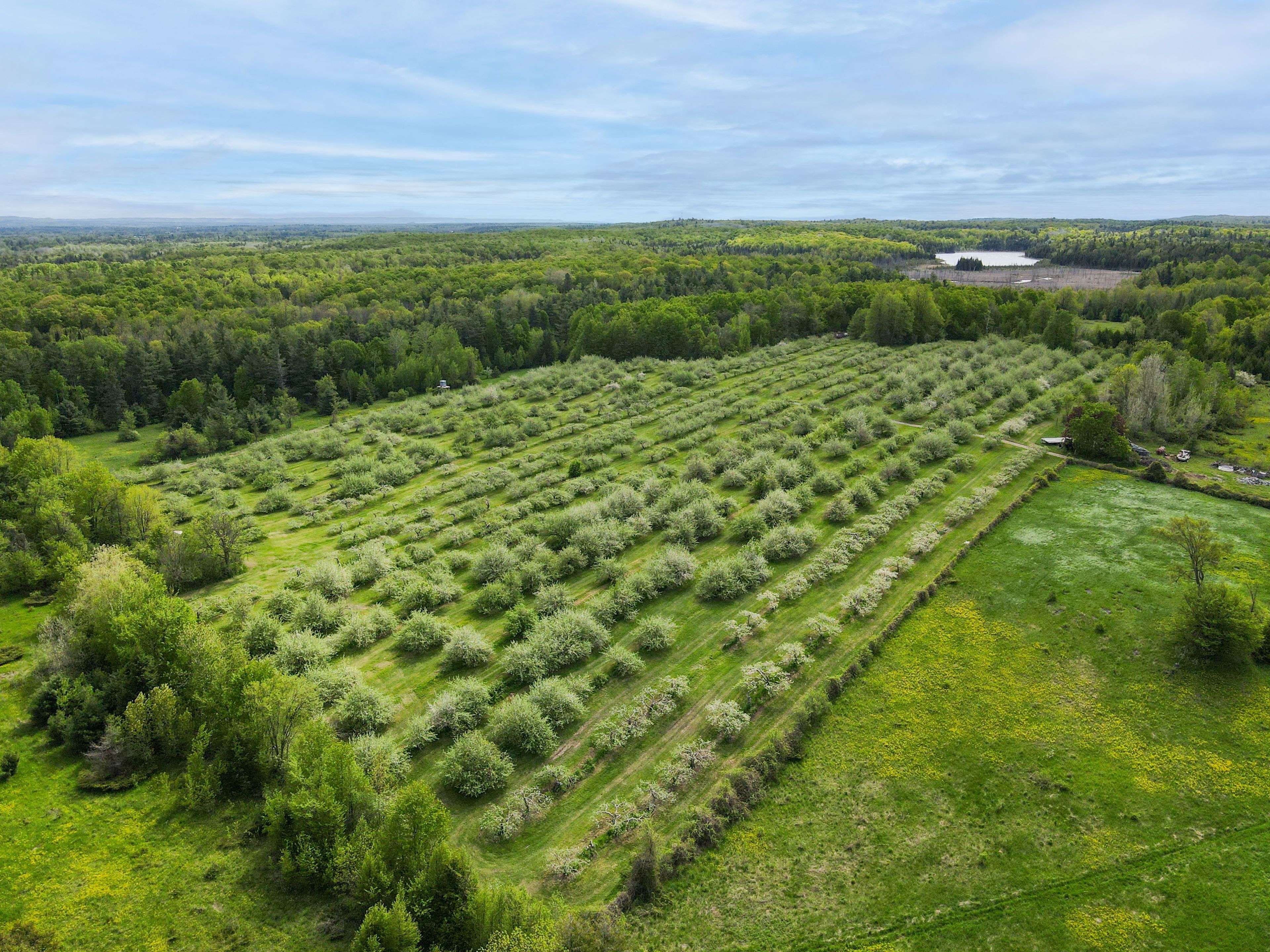 Horton, ON K7V 3Z9,3376 Burnstown RD