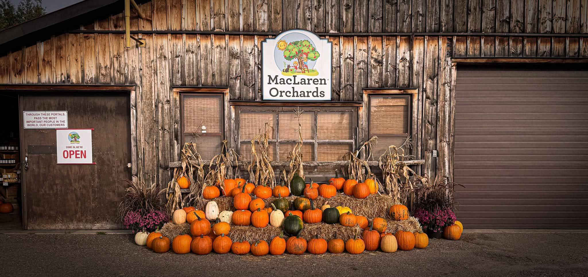 Horton, ON K7V 3Z9,3376 Burnstown RD