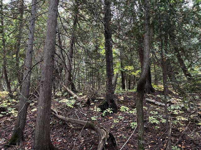 Saugeen Shores, ON N0H 2L0,5 SHORE RD