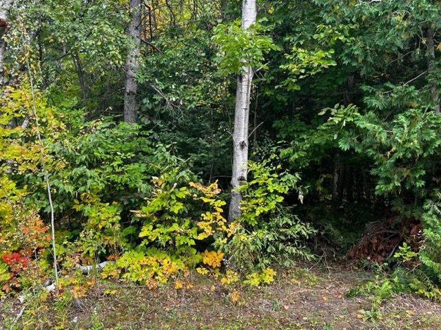 Saugeen Shores, ON N0H 2L0,6 SHORE RD