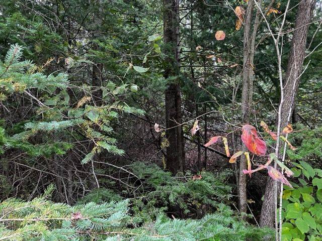 Saugeen Shores, ON N0H 2L0,6 SHORE RD