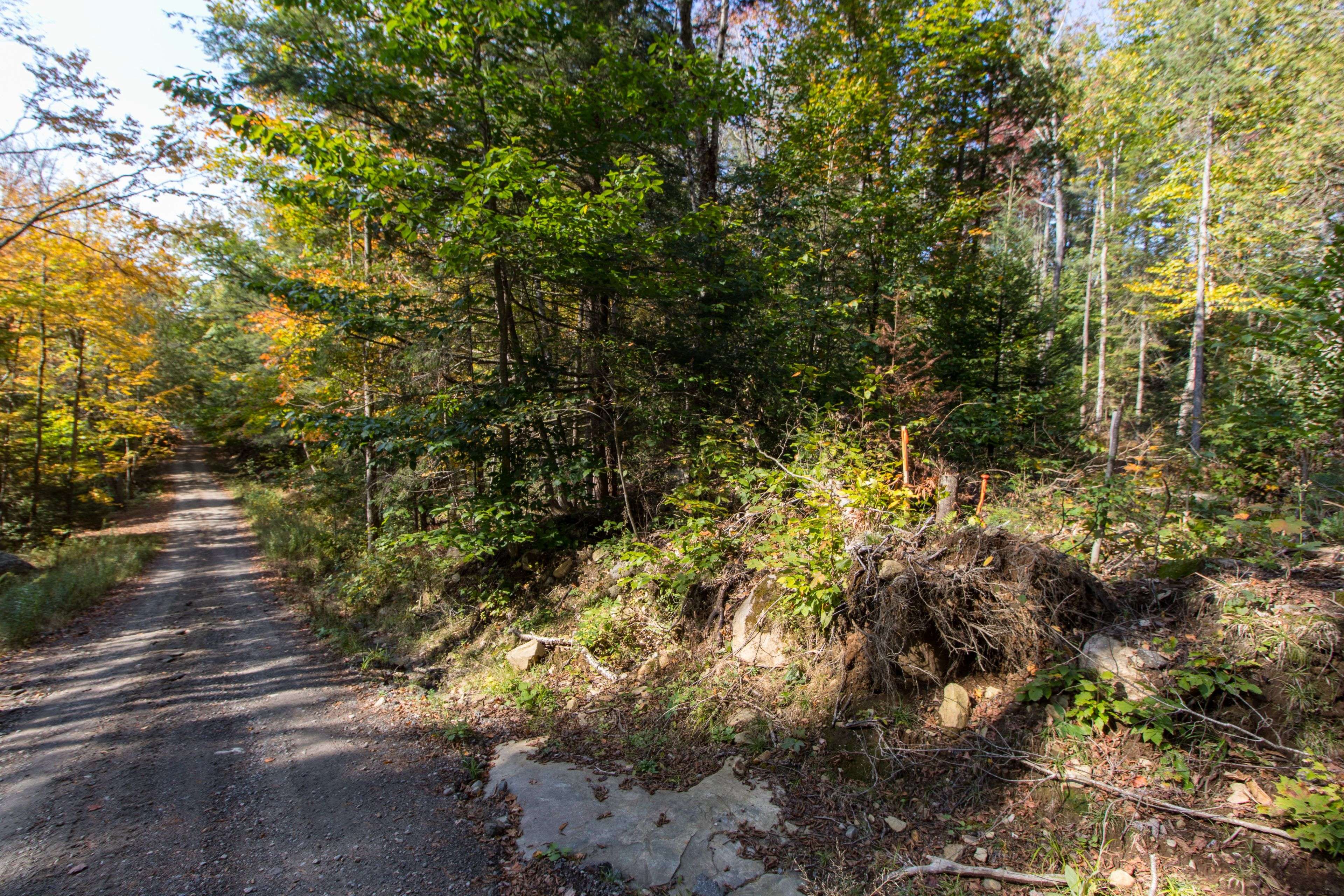 Huntsville, ON P1H 2J3,0 Lynx Lake RD