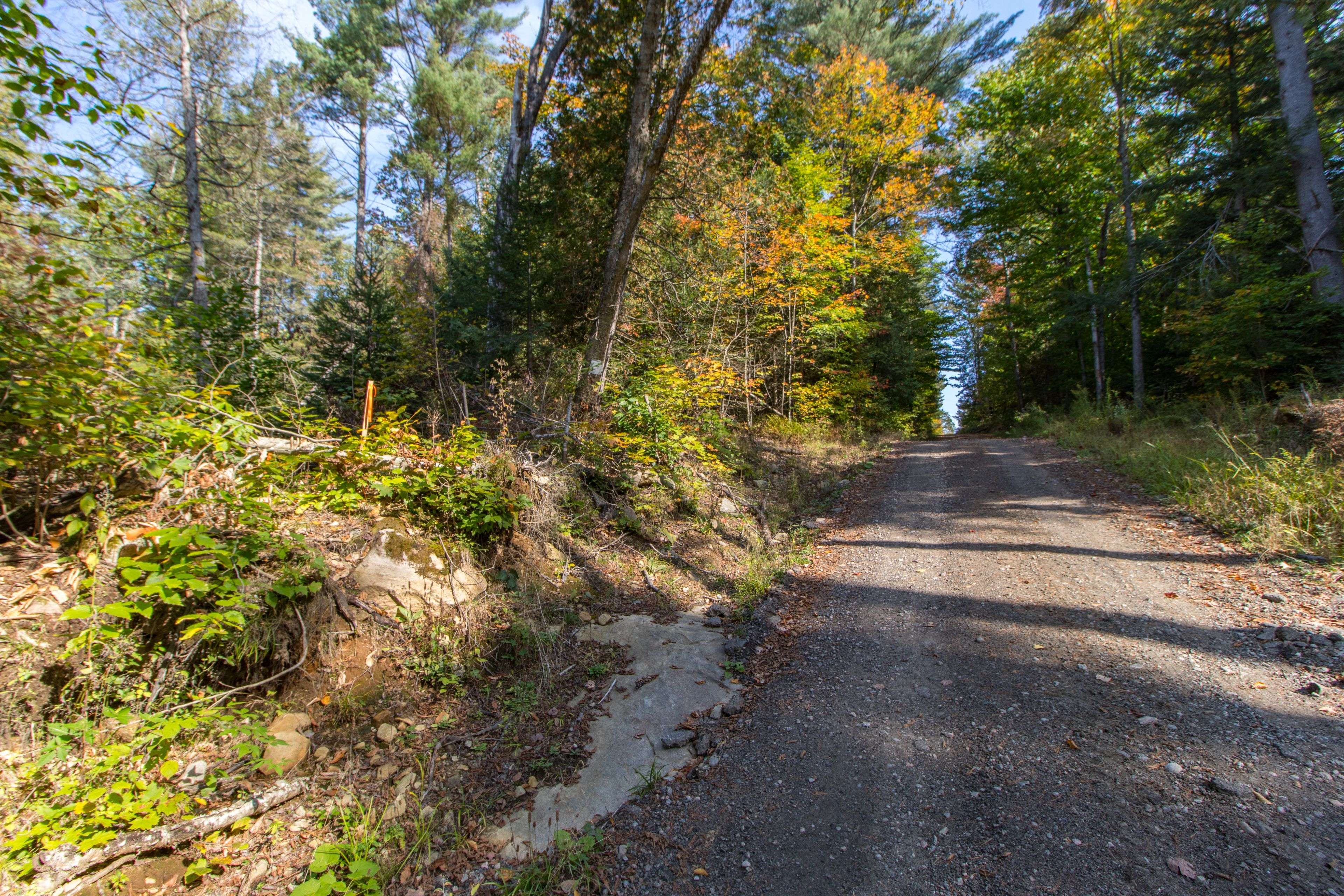 Huntsville, ON P1H 2J3,0 Lynx Lake RD