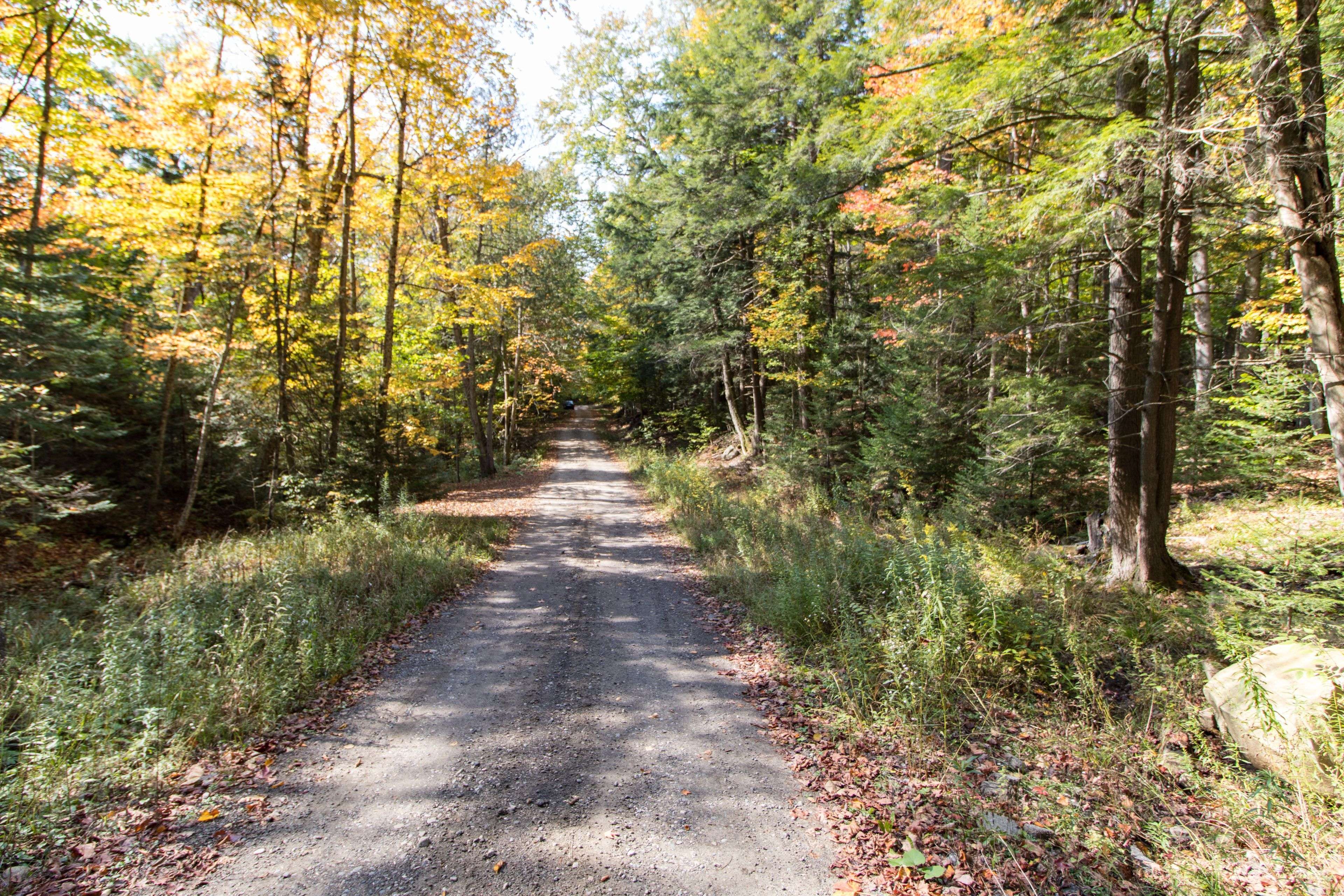 Huntsville, ON P1H 2J3,0 Lynx Lake RD