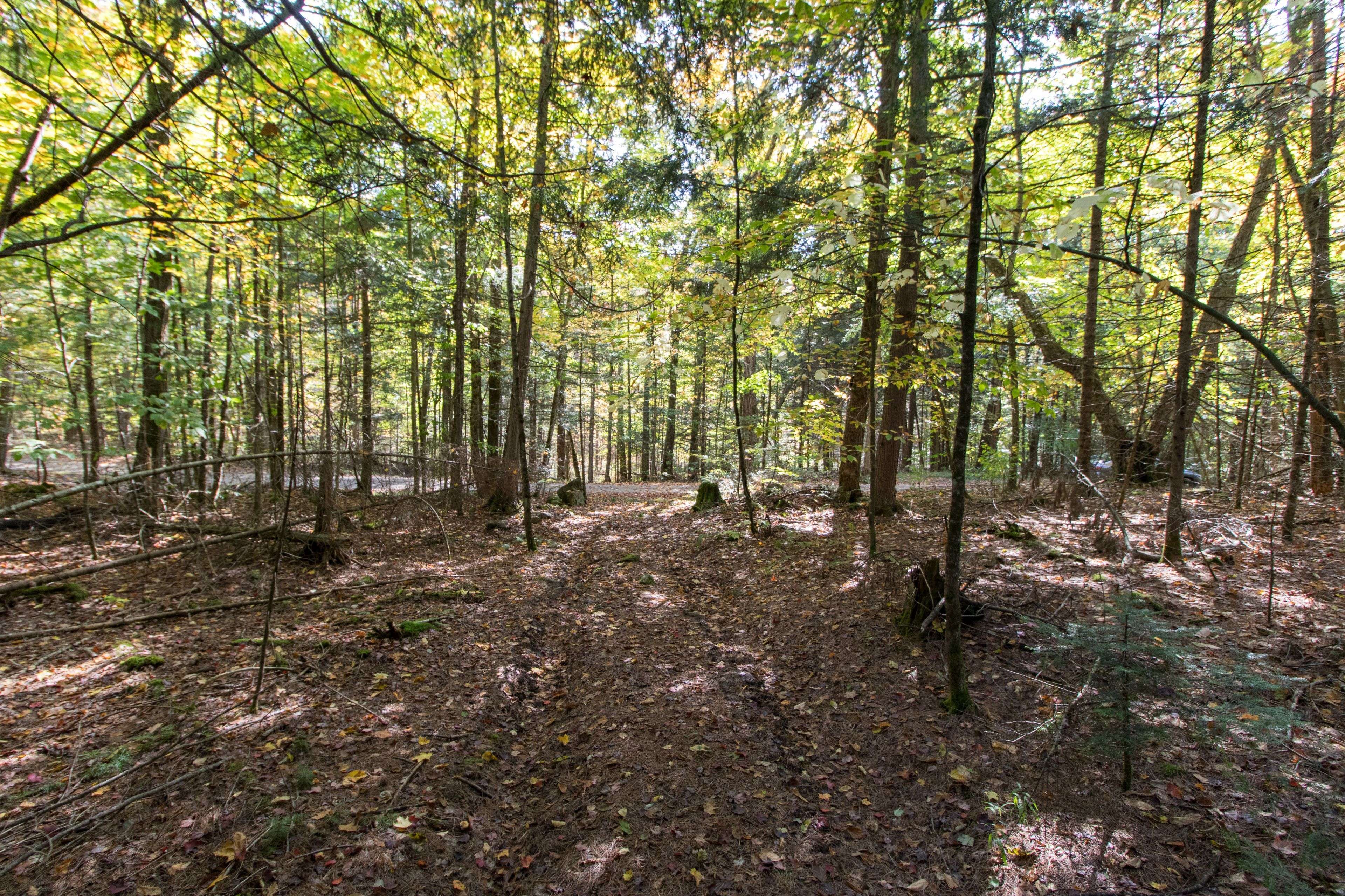 Huntsville, ON P1H 2J3,0 Lynx Lake RD