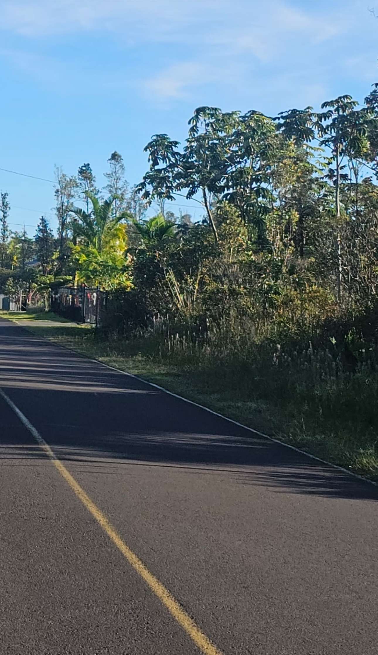 Pahoa, HI 96778,16-2056 RAINBOW DR