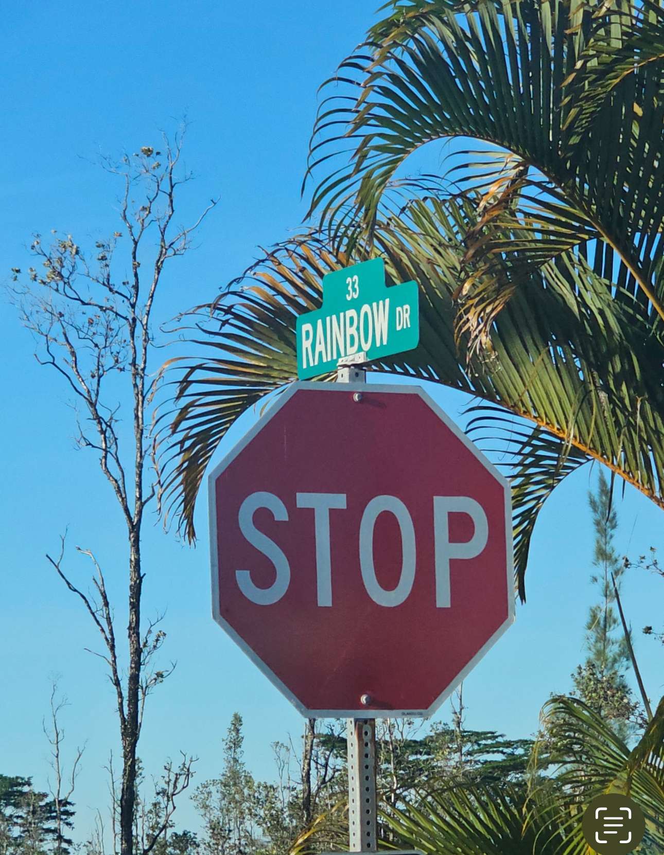 Pahoa, HI 96778,16-2056 RAINBOW DR