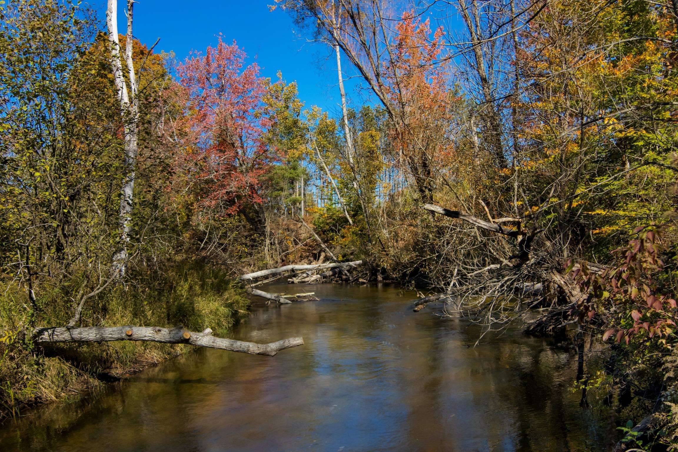 Thompsonville, MI 49683,Parcels A & E Wild River WAY