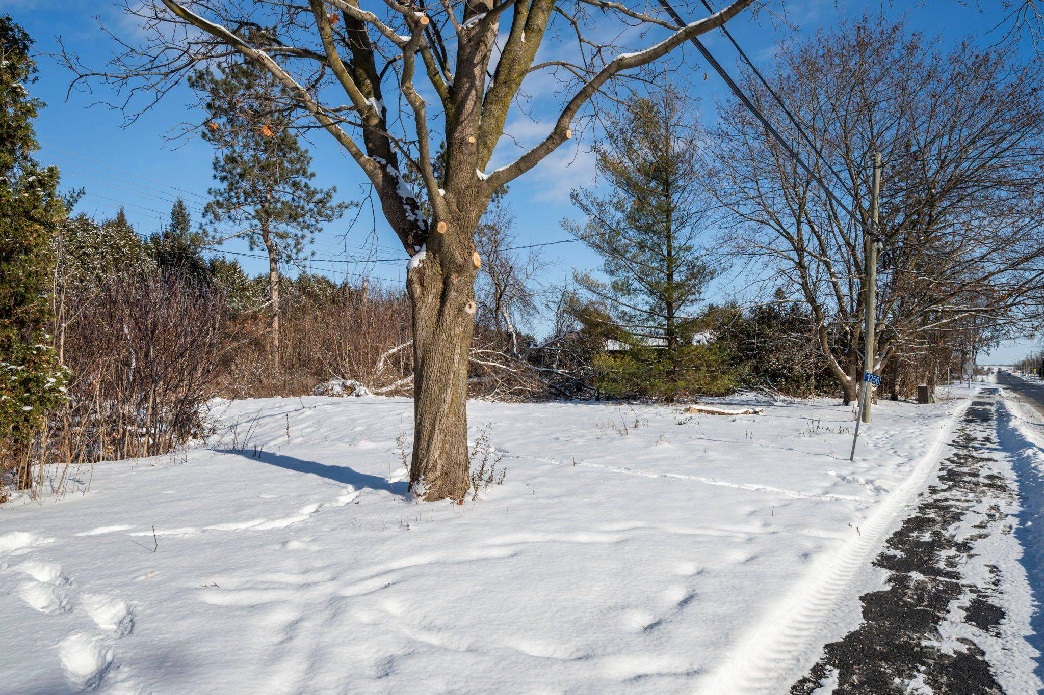 Orleans - Cumberland And Area, ON K4B 1N1,1256 COLONIAL RD