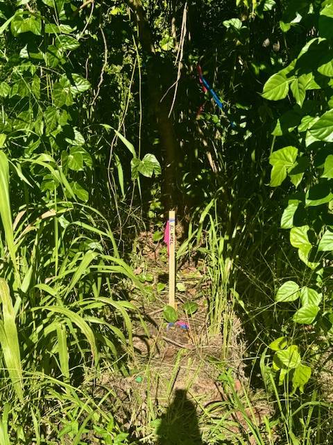 Pahoa, HI 96778,1501 OIO ST