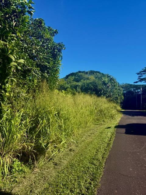 Pahoa, HI 96778,1501 OIO ST