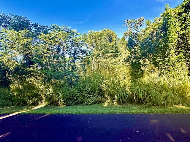 Pahoa, HI 96778,1501 OIO ST