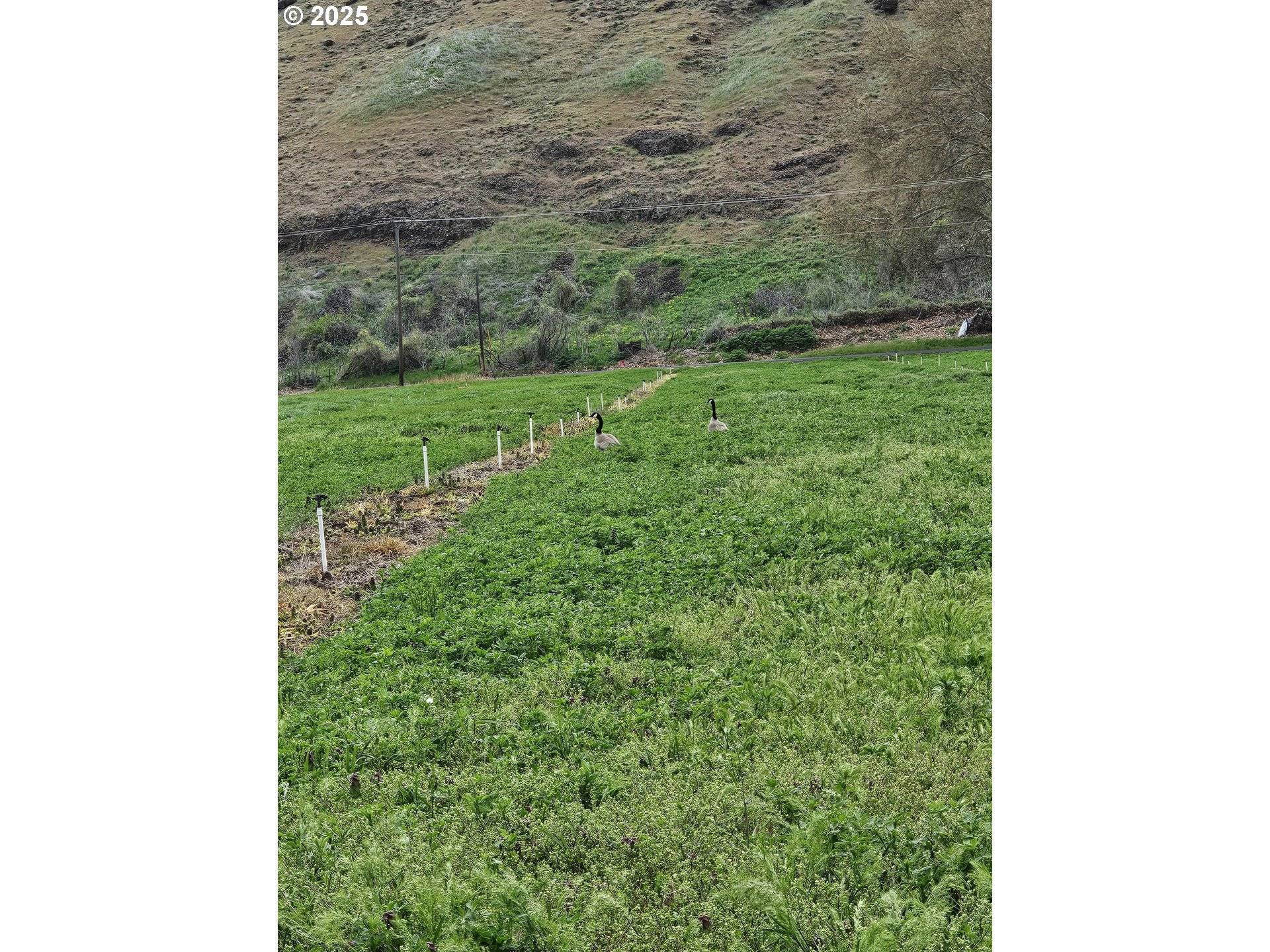 Milton Freewater, OR 97862,54884 DAY RD