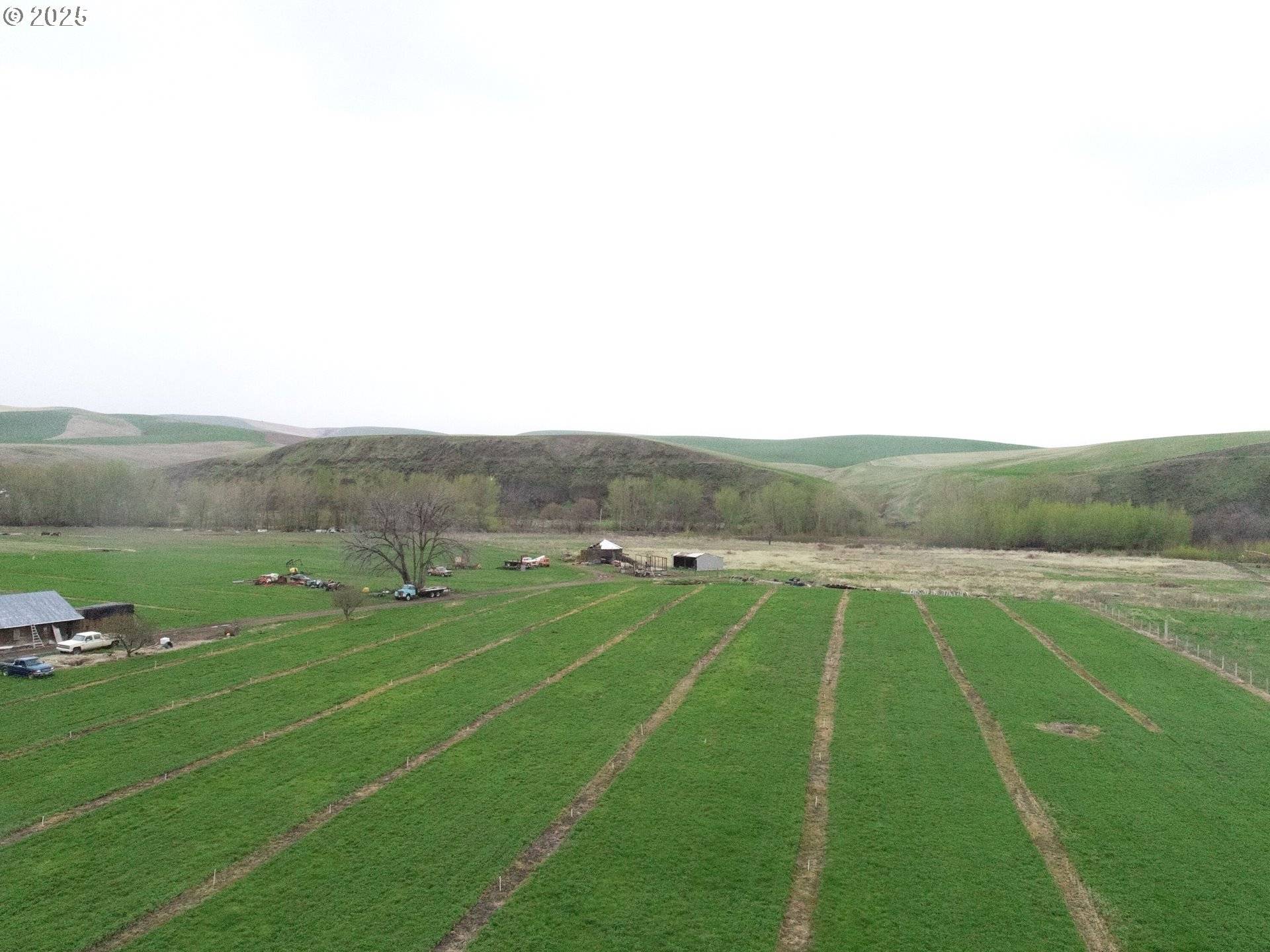 Milton Freewater, OR 97862,54884 DAY RD