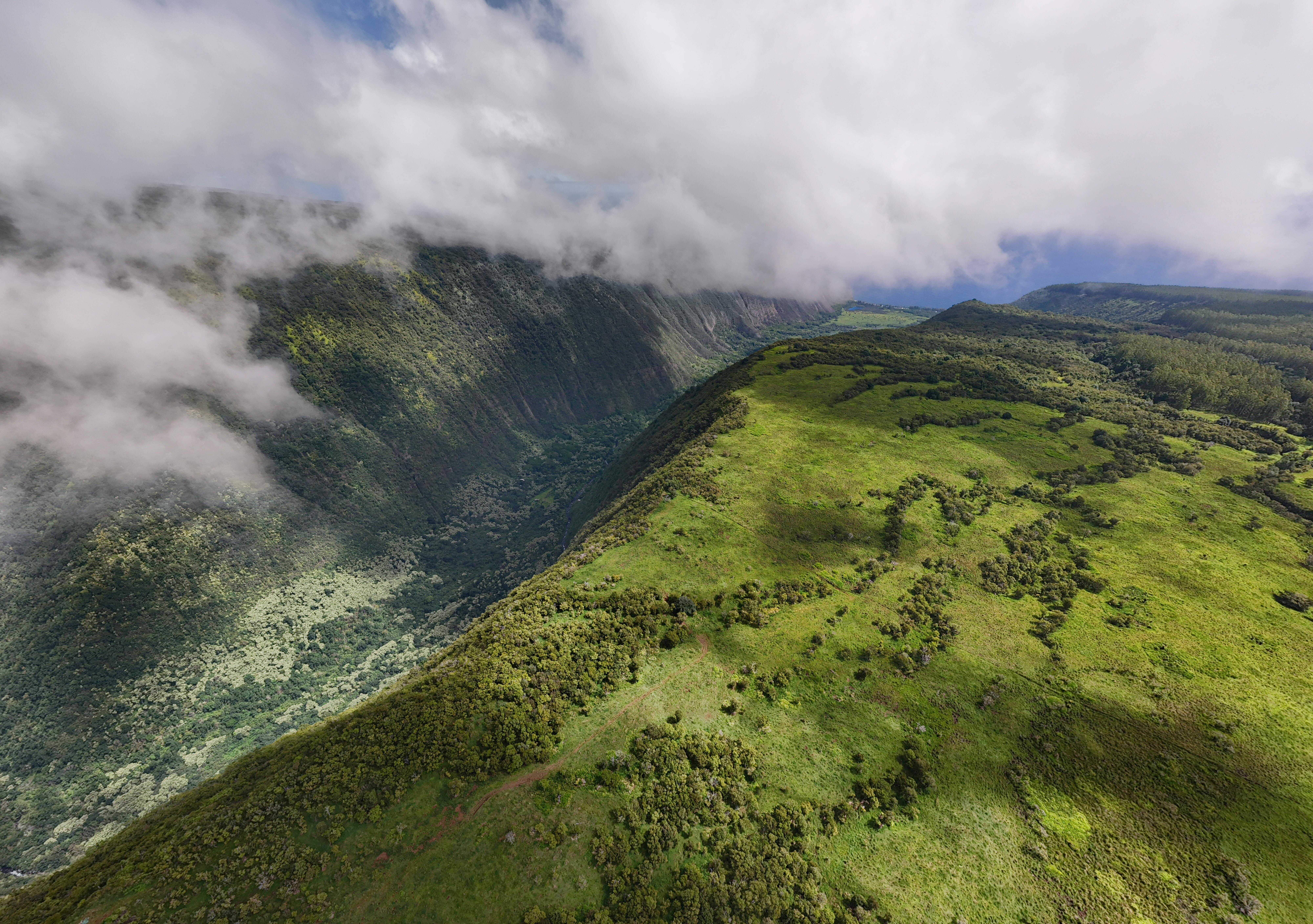 Honokaa, HI 96727,47-5343 WAIKOEKOE LN