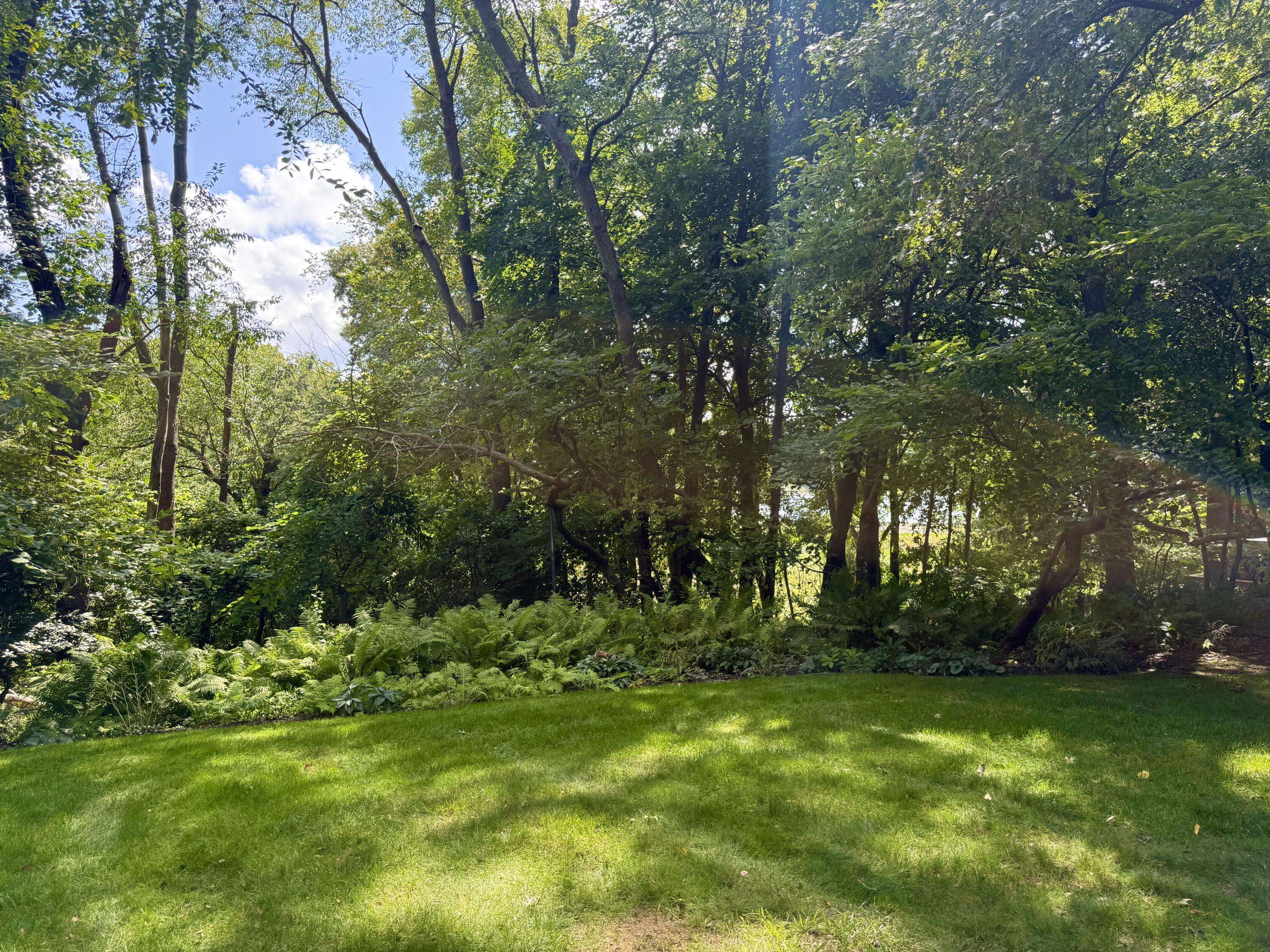 Kalamazoo, MI 49008,1907 Chevy Chase BLVD