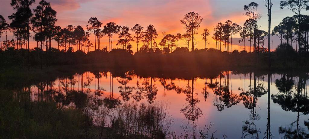 Fellsmere, FL 32948,15355 93rd St