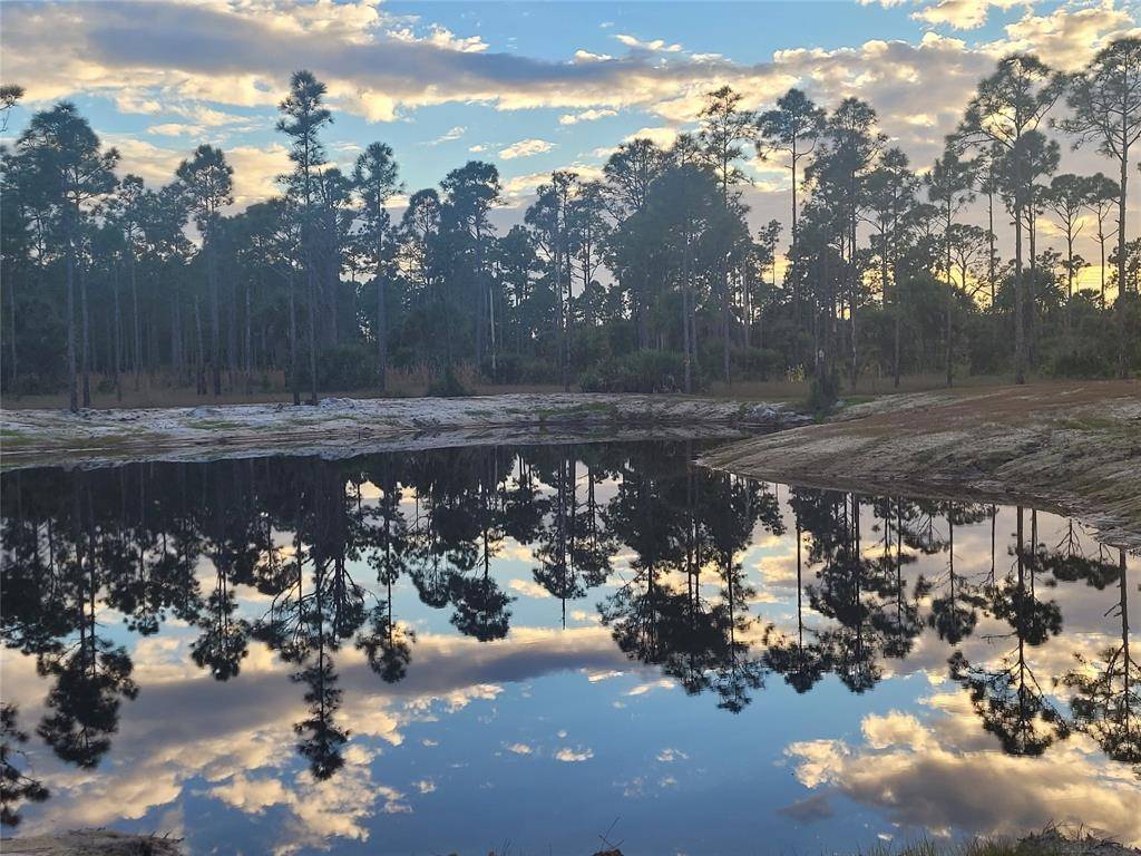 Fellsmere, FL 32948,15355 93rd St