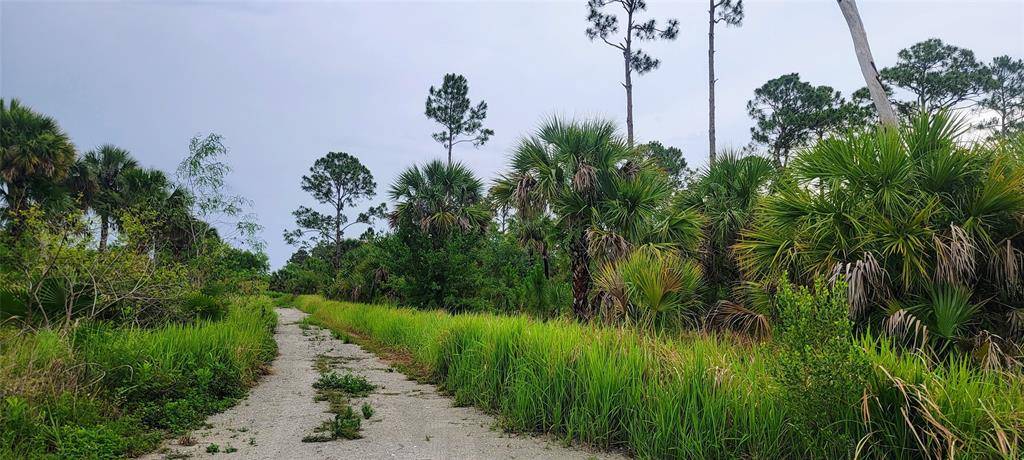 Fellsmere, FL 32948,15355 93rd St