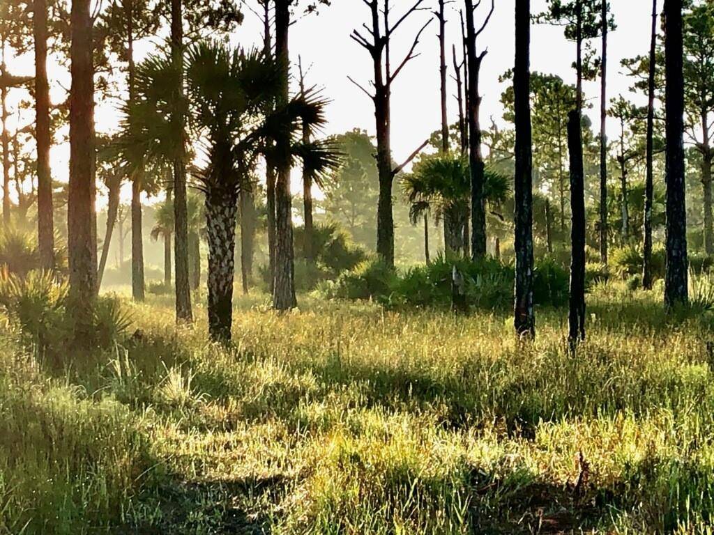 Fellsmere, FL 32948,15355 93rd St