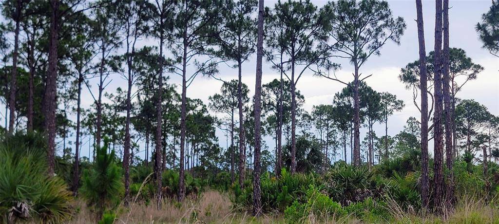 Fellsmere, FL 32948,15355 93rd St