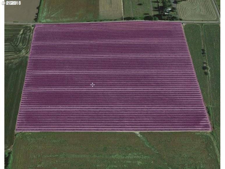 Yamhill, OR 97148,0 Fryer