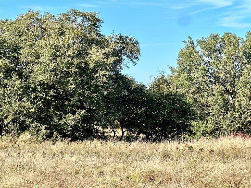 Goldthwaite, TX 76844,171 County Road 306