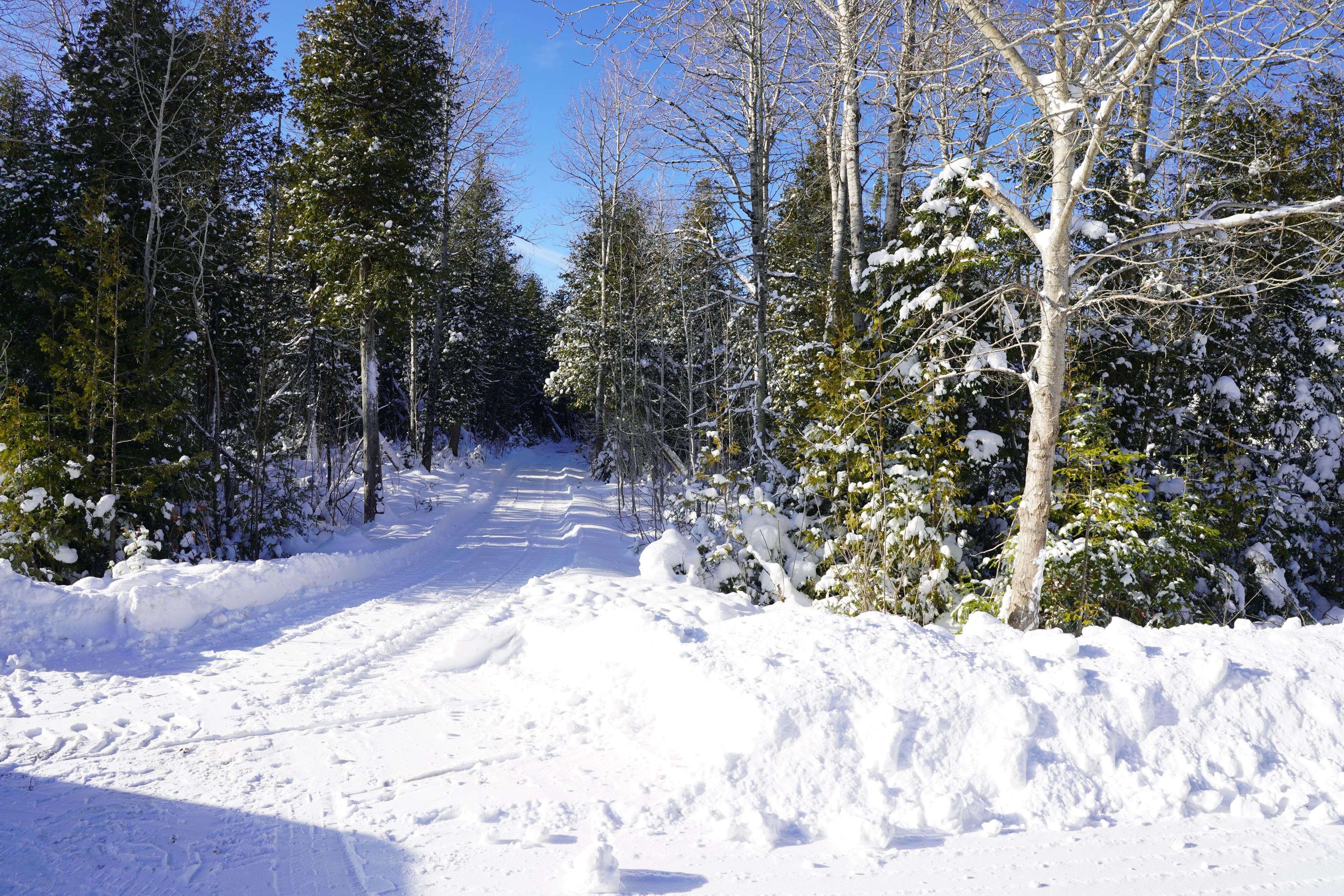 Northern Bruce Peninsula, ON N0H 2M0,PT LT 36 Walter Charman DR