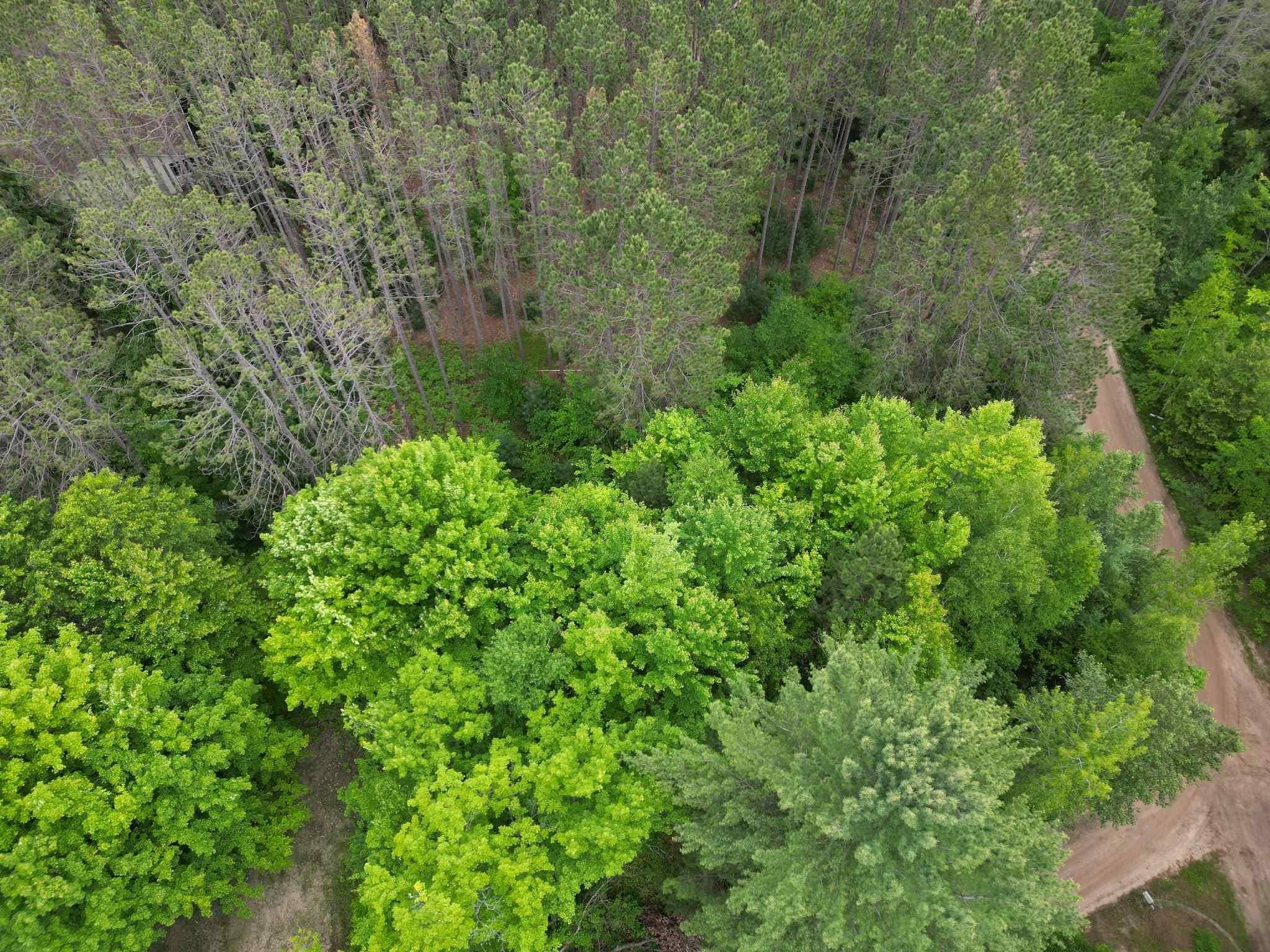 Farwell, MI 48622,TBD Wintergreen