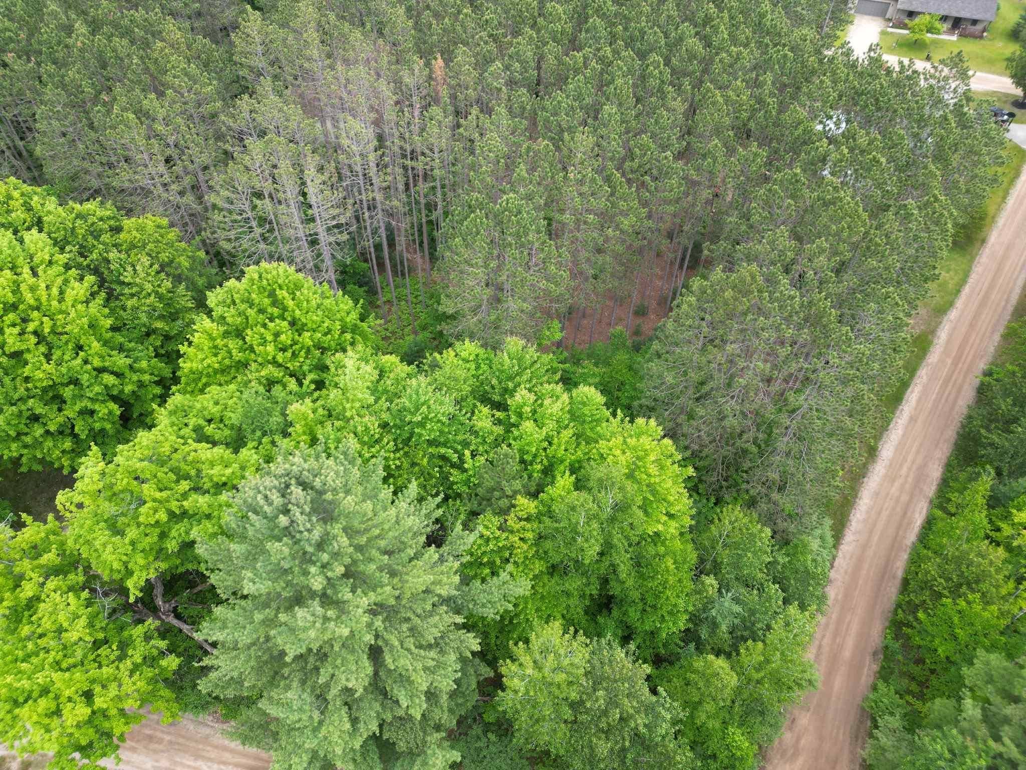 Farwell, MI 48622,TBD Wintergreen