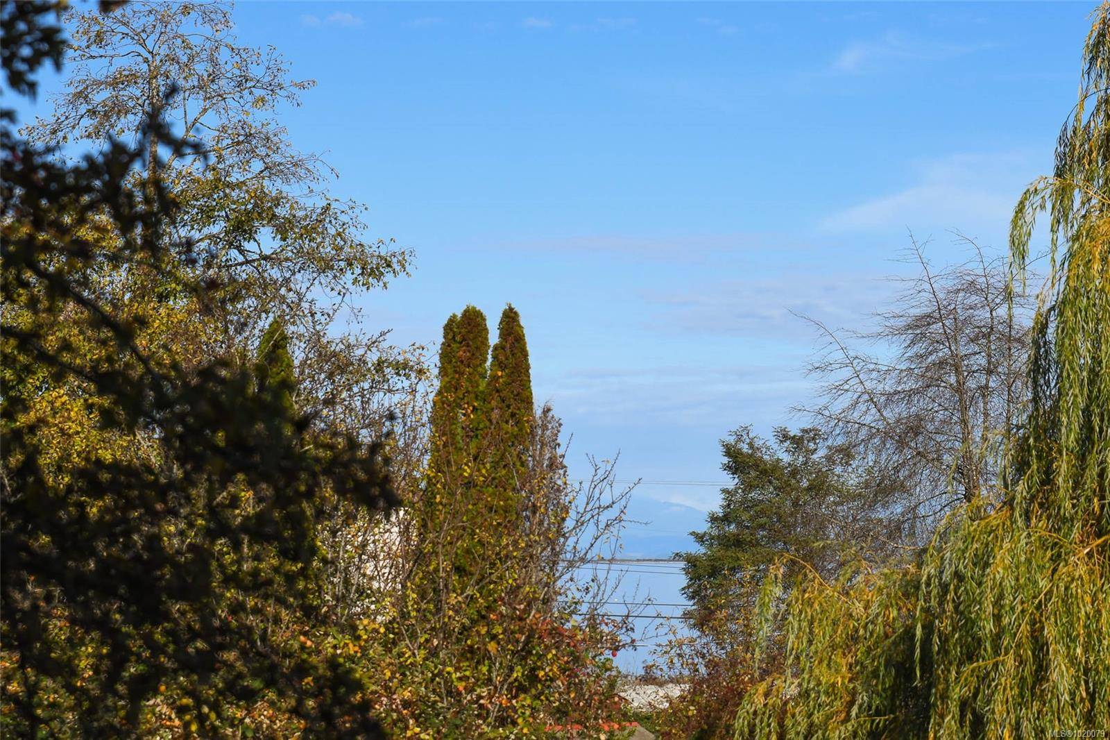 Union Bay, BC V0R 3B0,5557 Horne St