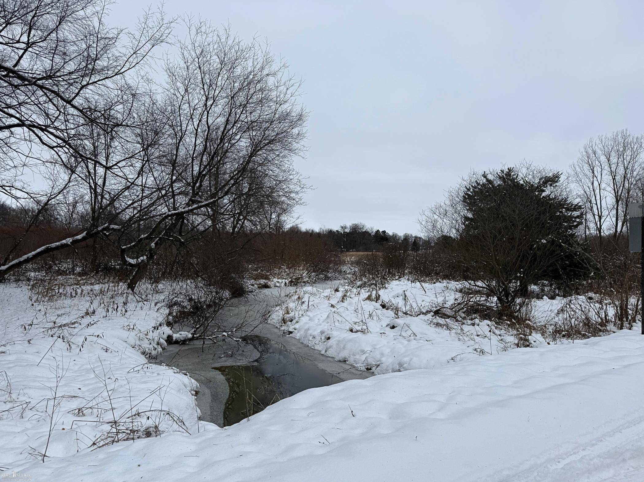 Morrice, MI 48857,Vacant Land Tyrrell RD