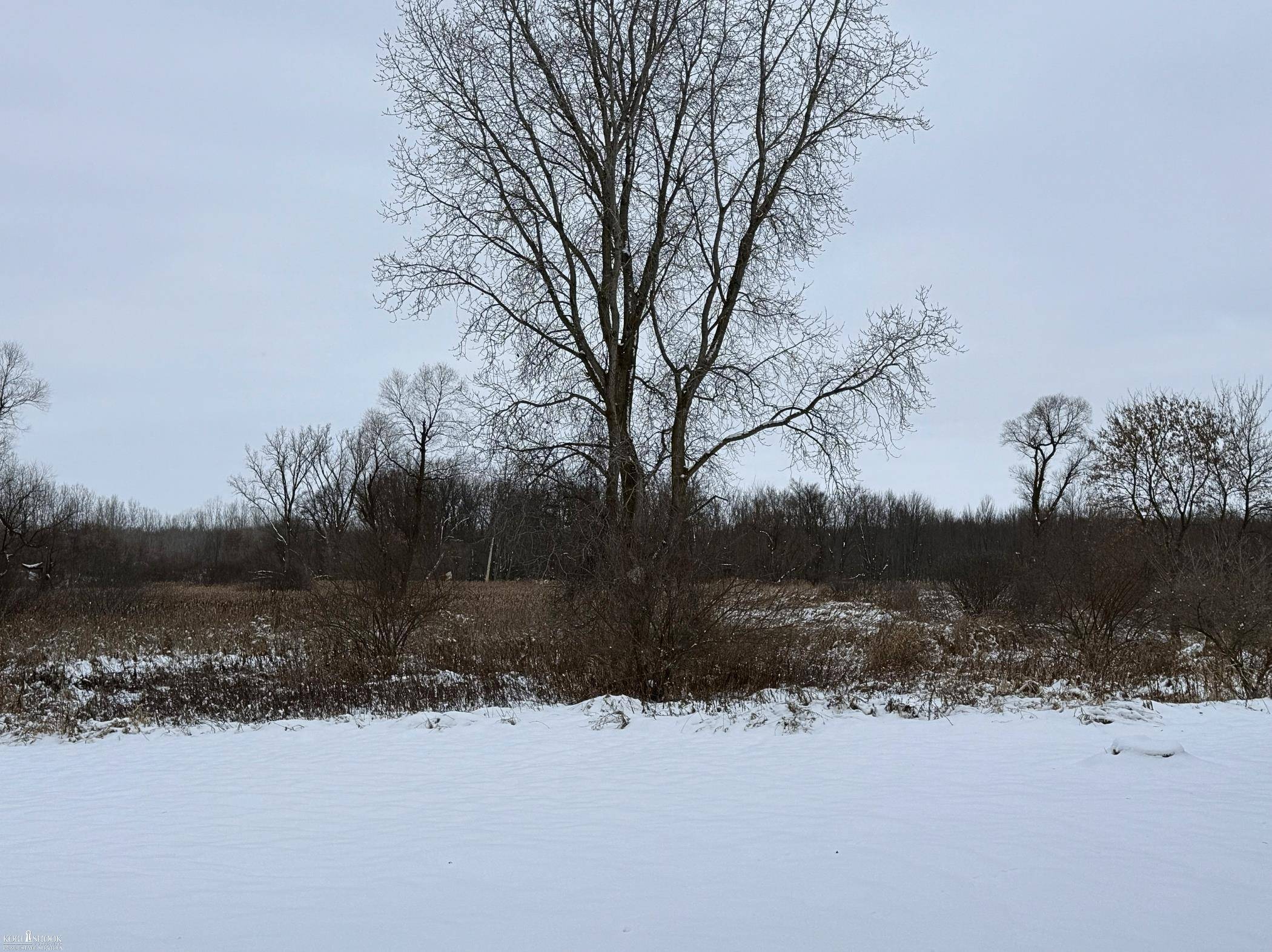 Morrice, MI 48857,Vacant Land Tyrrell RD