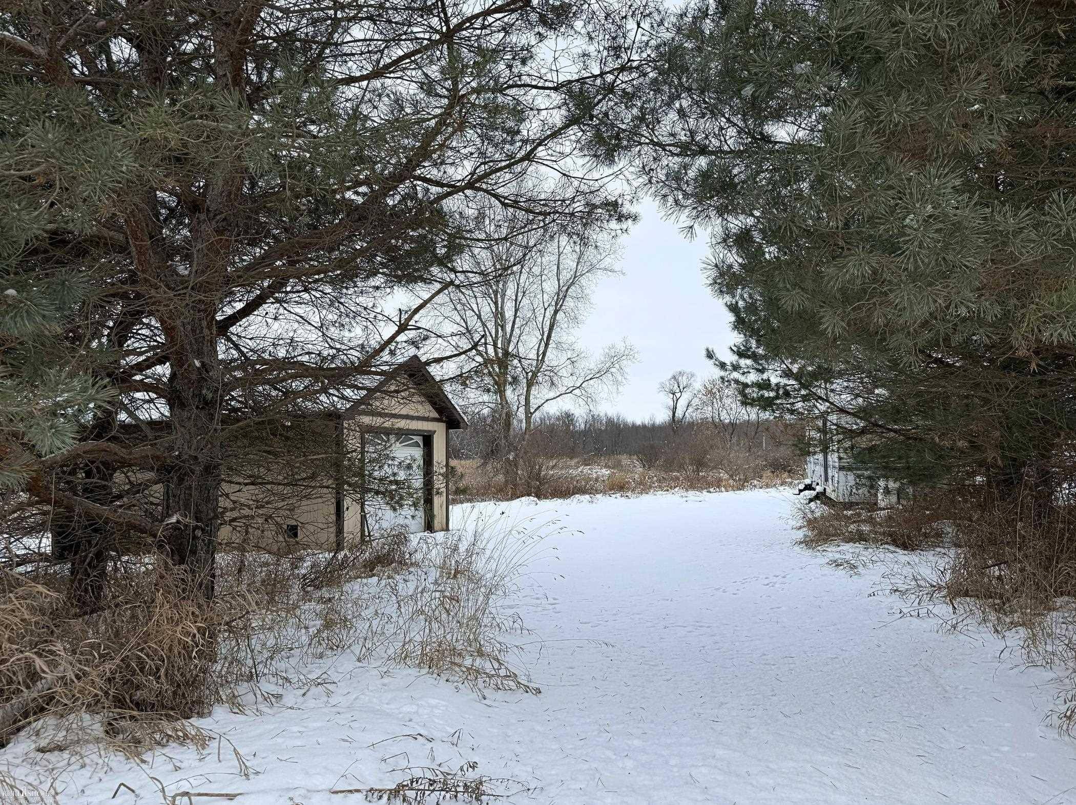 Vacant Land Tyrrell RD, Bennington Twp, MI 48867