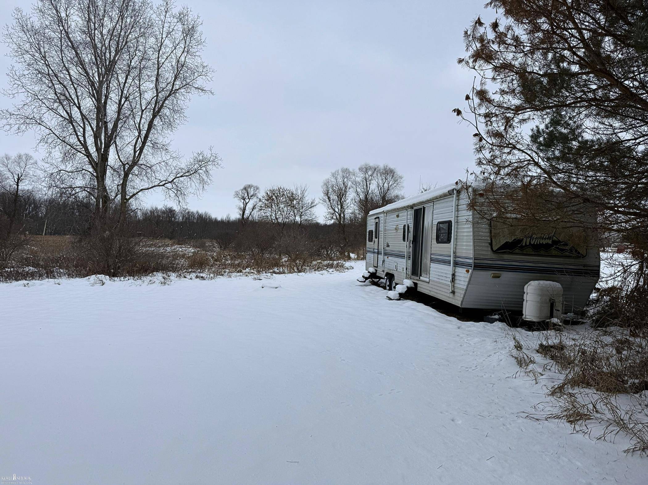 Vacant Land Tyrrell RD, Bennington Twp, MI 48867