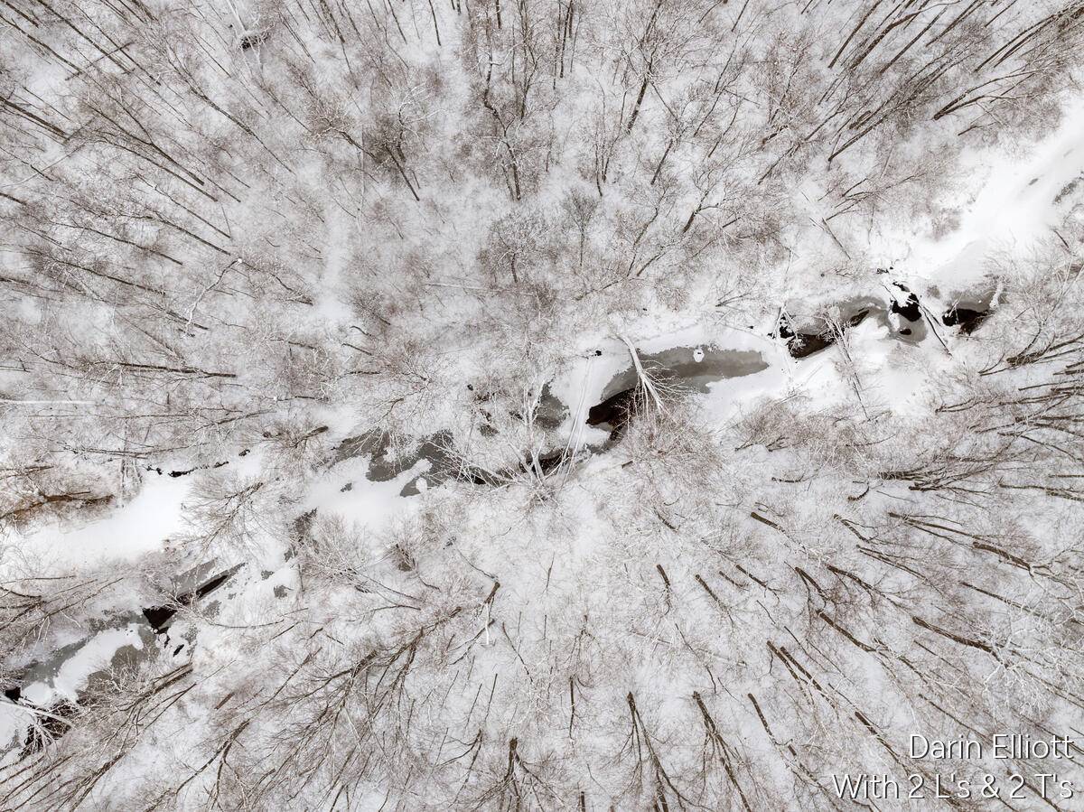 Ionia, MI 48846,3155 Cowboy Cove LN