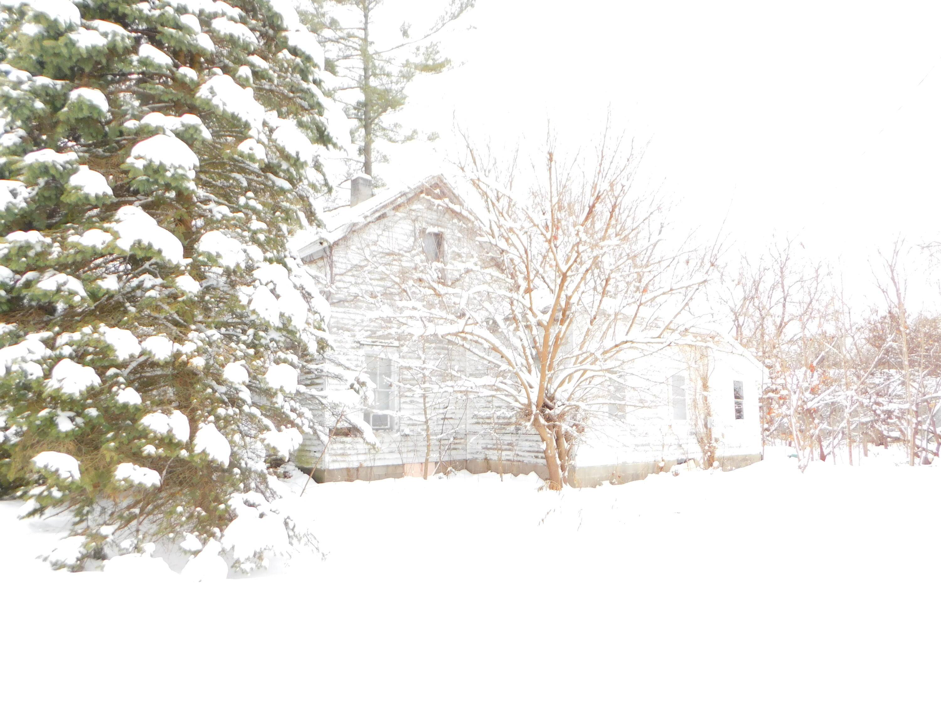 Decatur, MI 49045,111 E Saint Marys ST