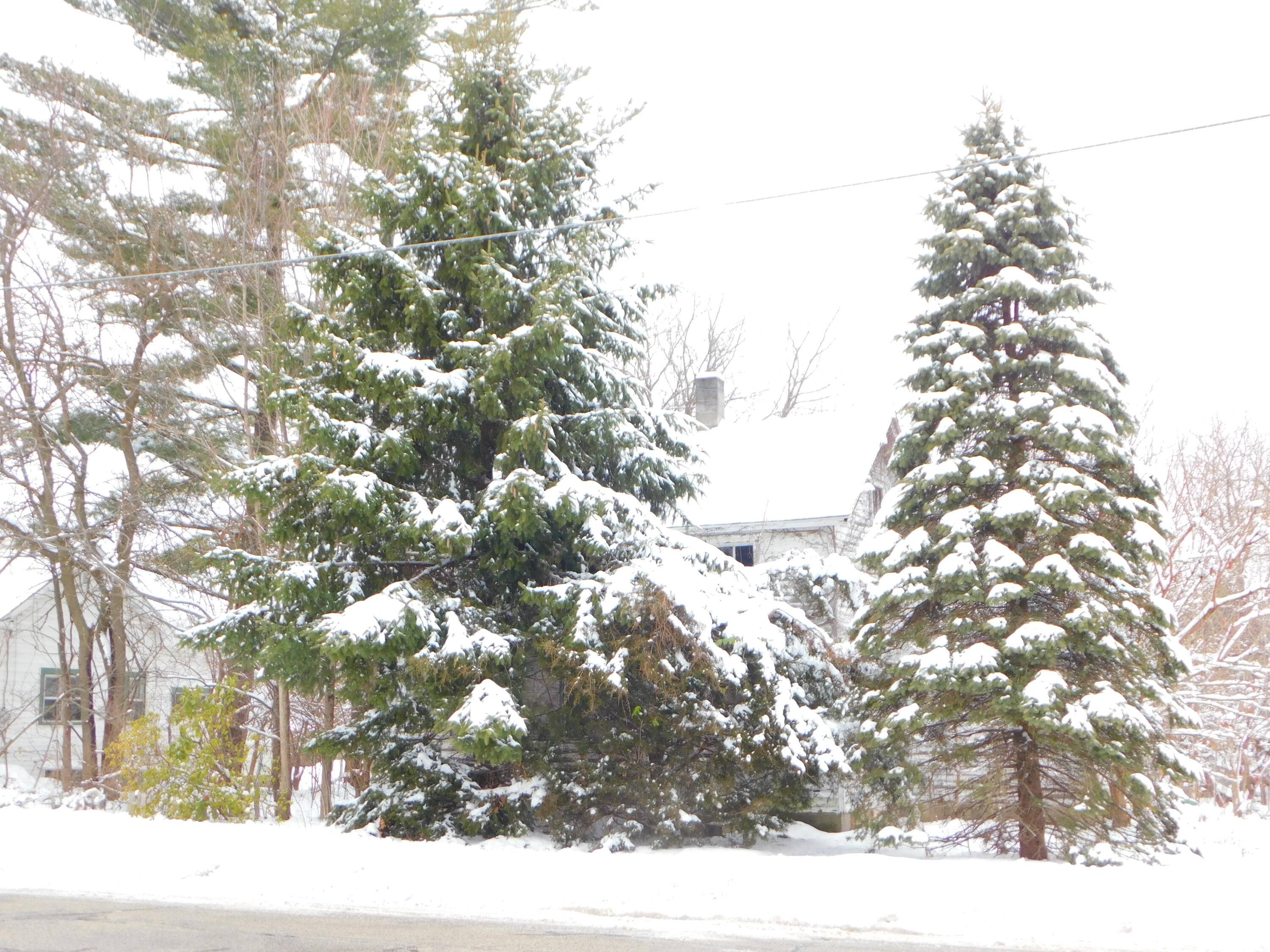 Decatur, MI 49045,111 E Saint Marys ST