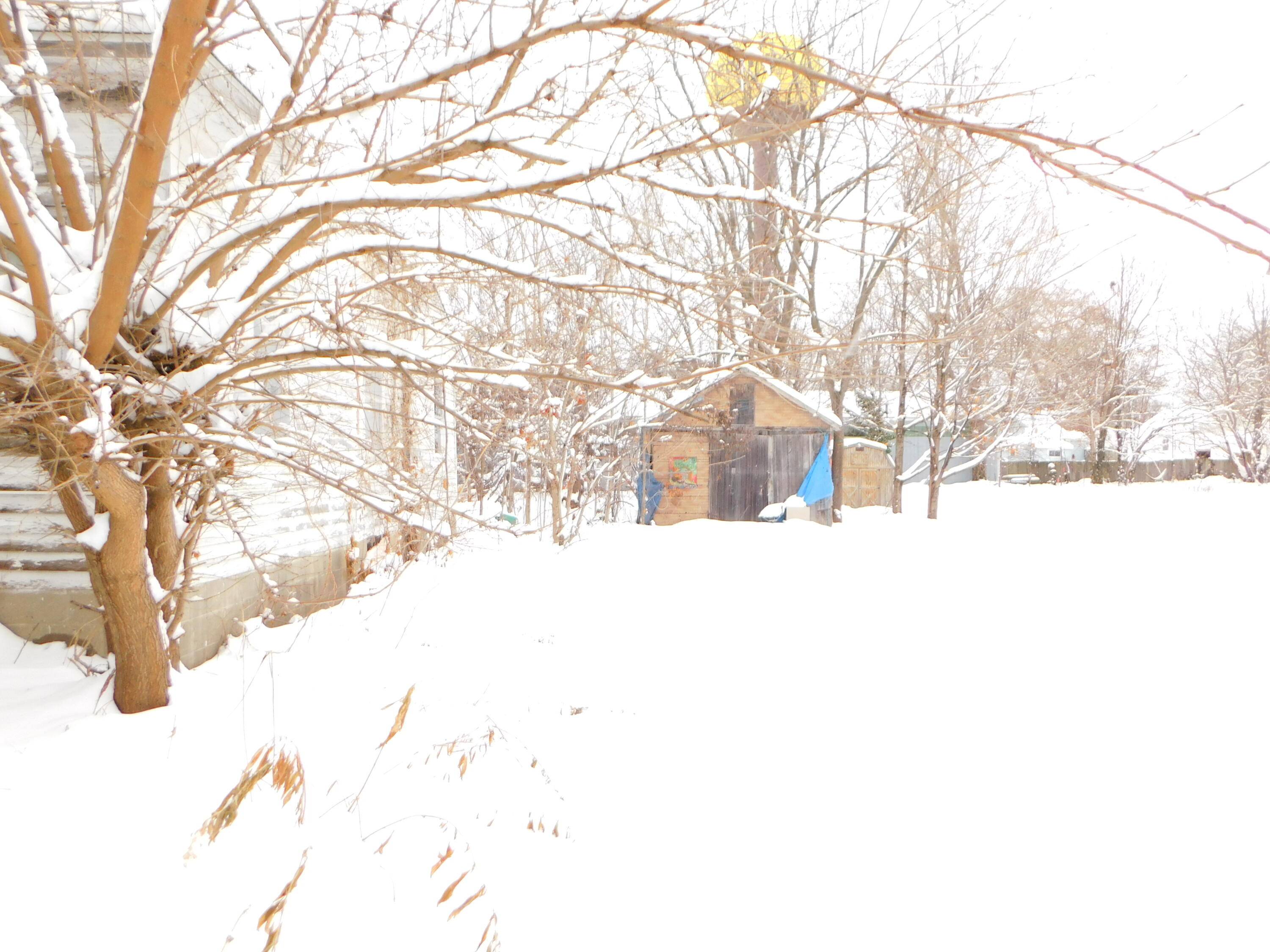 Decatur, MI 49045,111 E Saint Marys ST