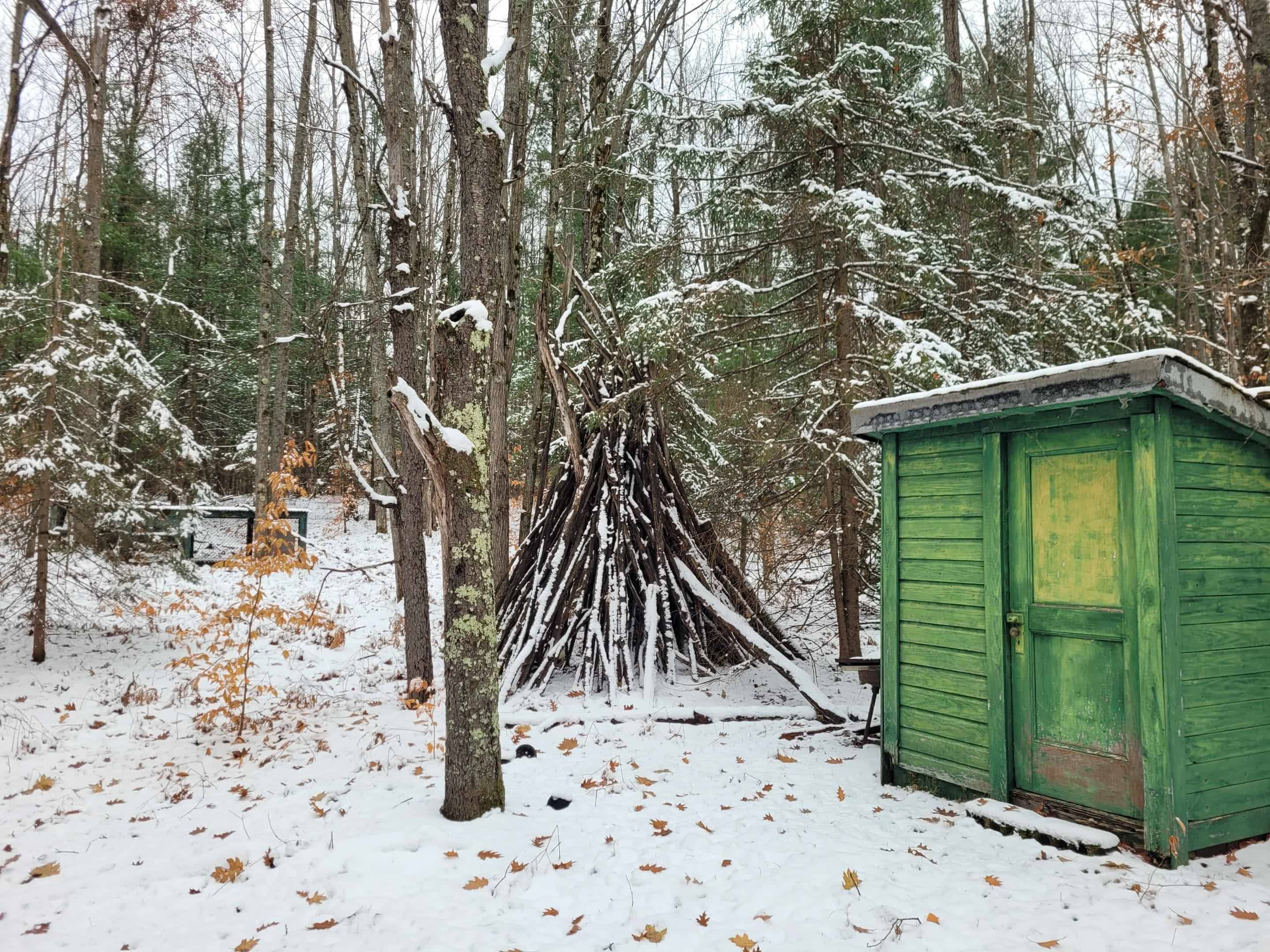 Mesick, MI 49668,11771 W 16 RD