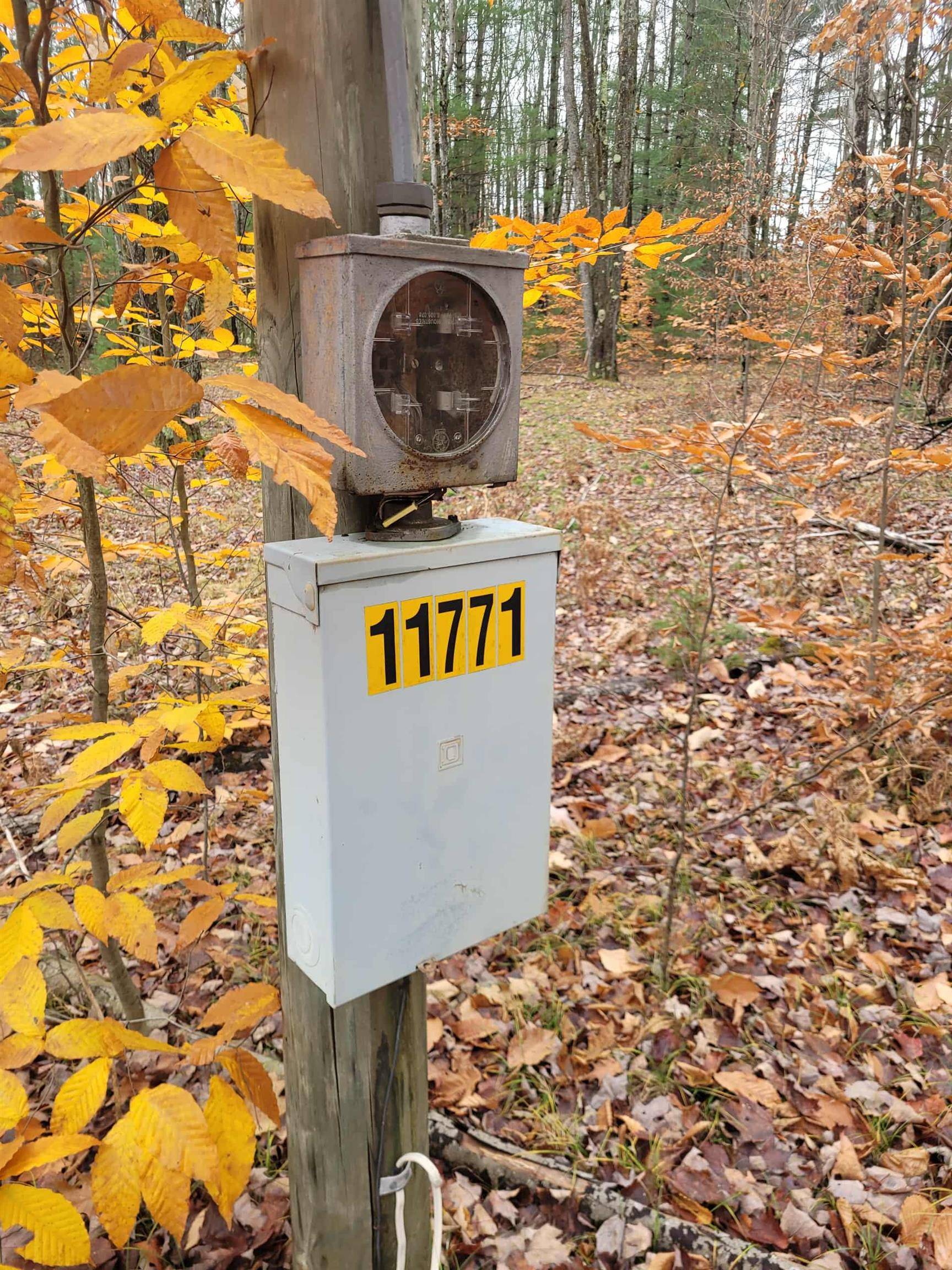 Mesick, MI 49668,11771 W 16 RD