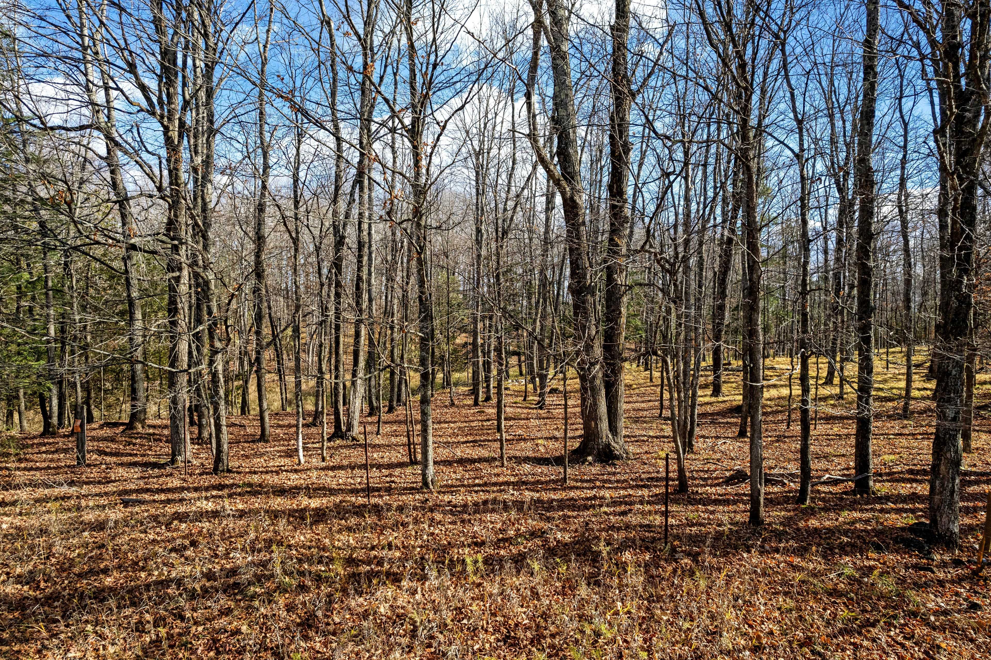 Lanark Highlands, ON K0G 1K0,PT 3-00 Herron Mills RD