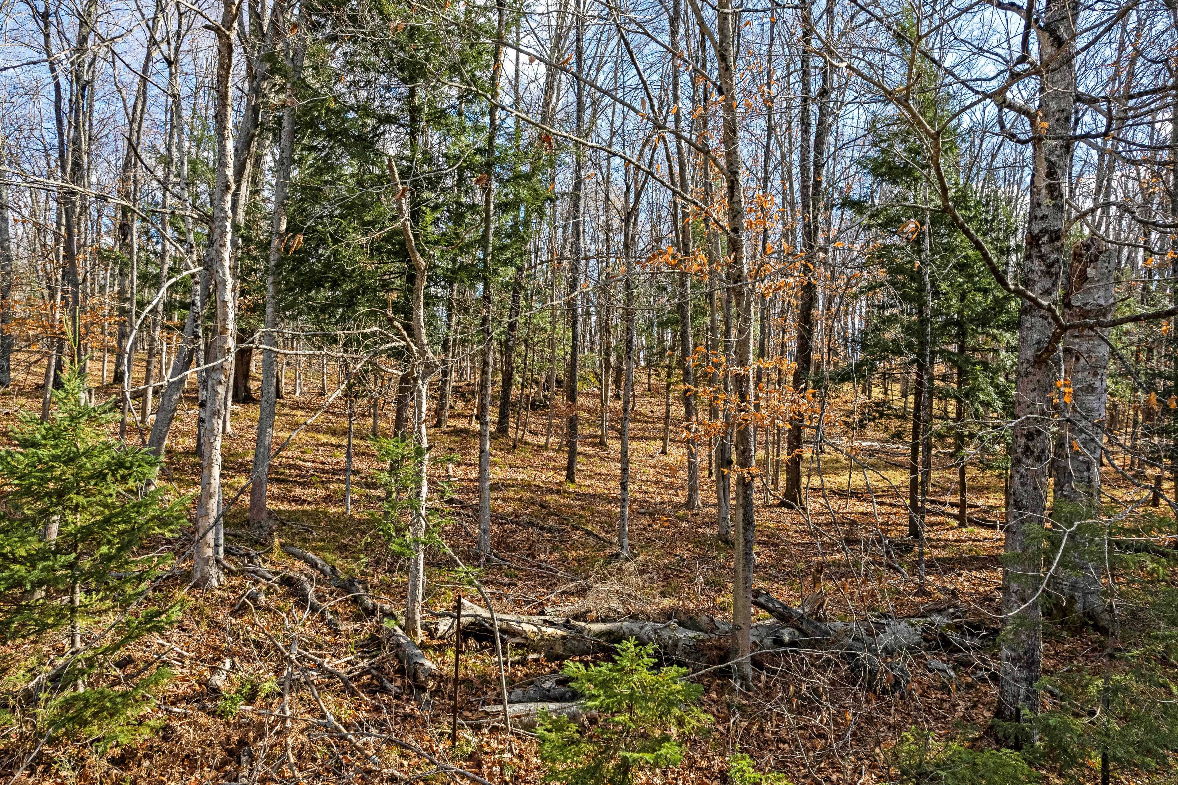 Lanark Highlands, ON K0G 1K0,PT 3-00 Herron Mills RD