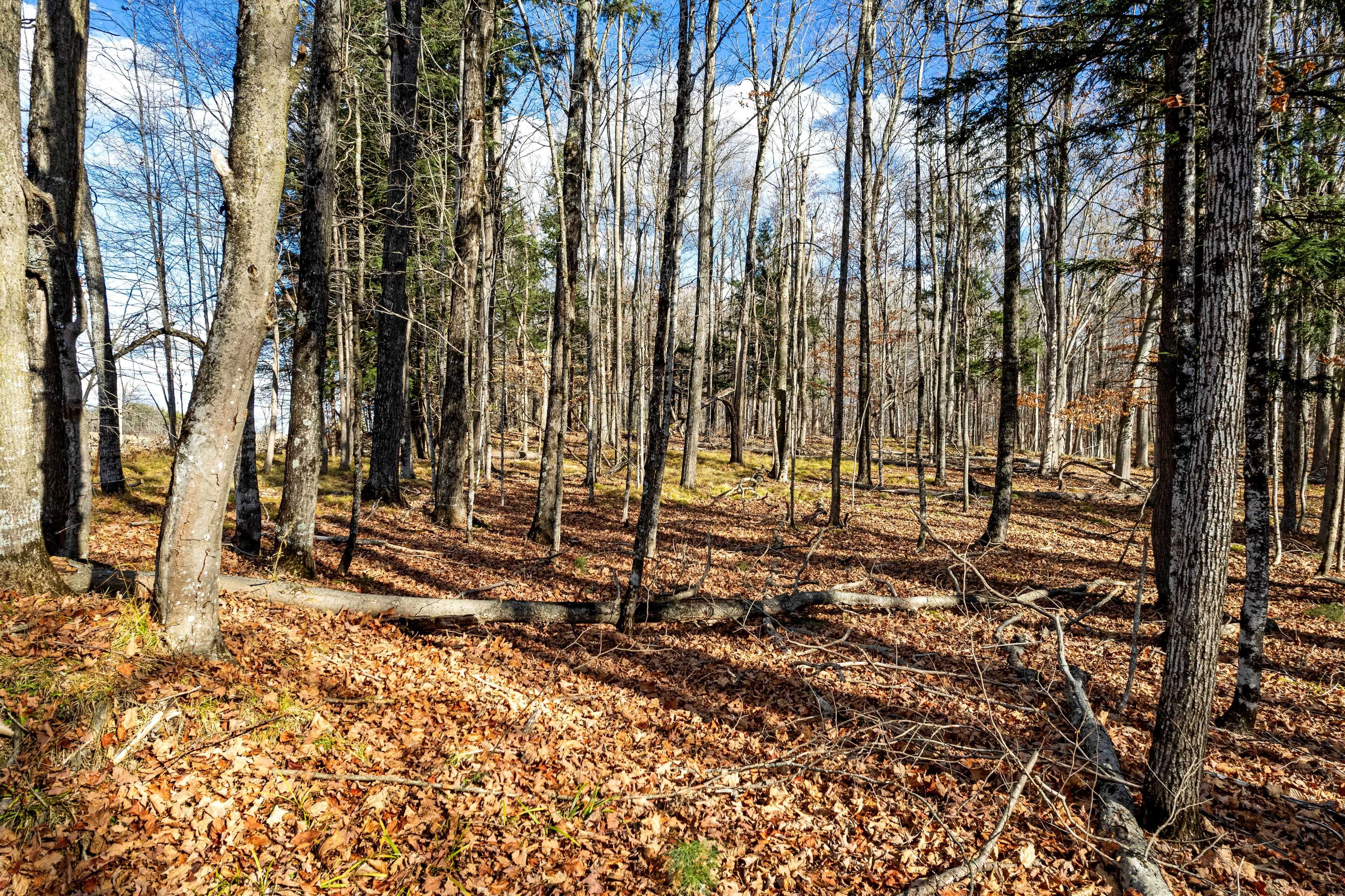 Lanark Highlands, ON K0G 1K0,PT 3-00 Herron Mills RD