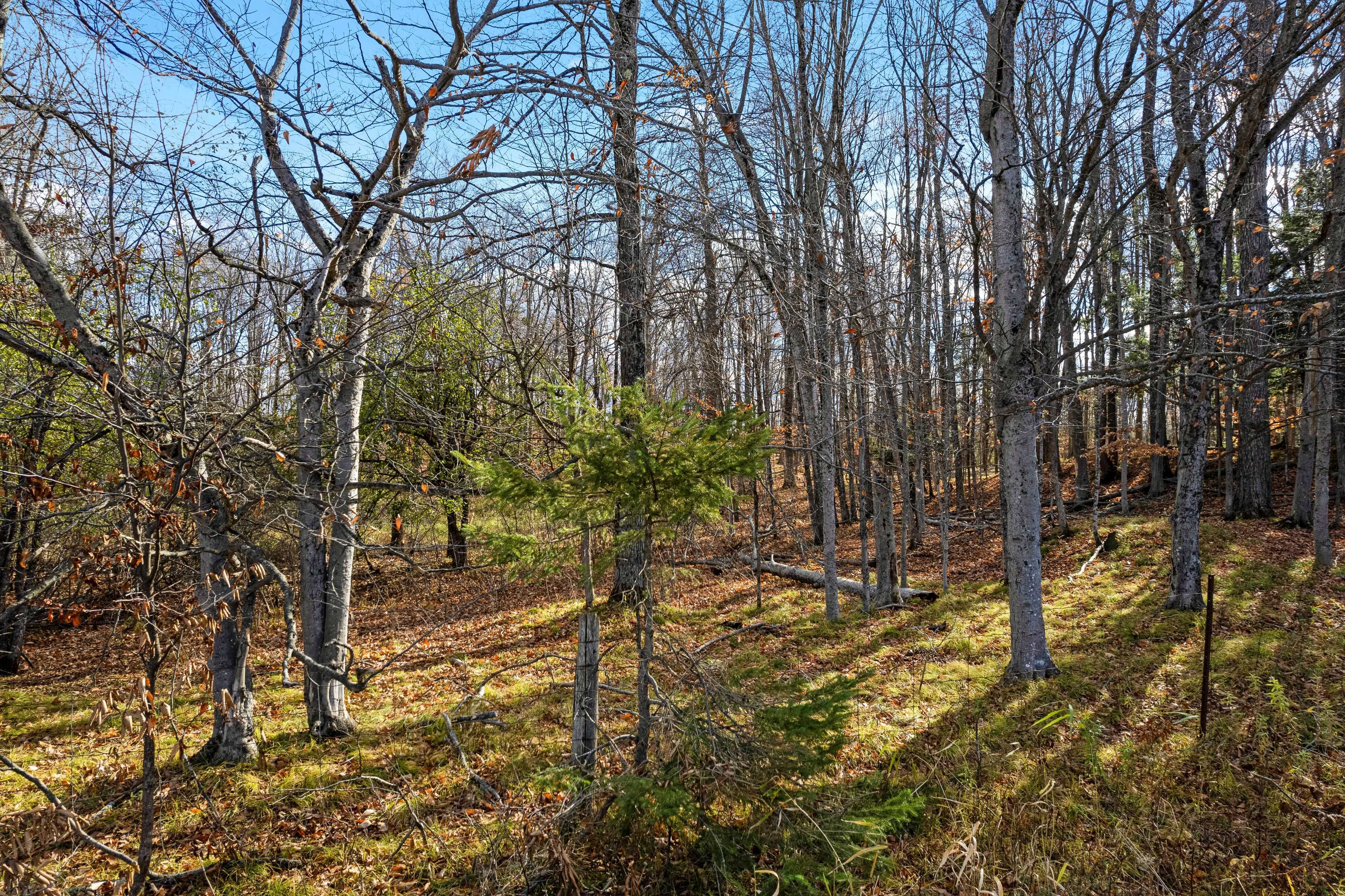 Lanark Highlands, ON K0G 1K0,PT 3-00 Herron Mills RD