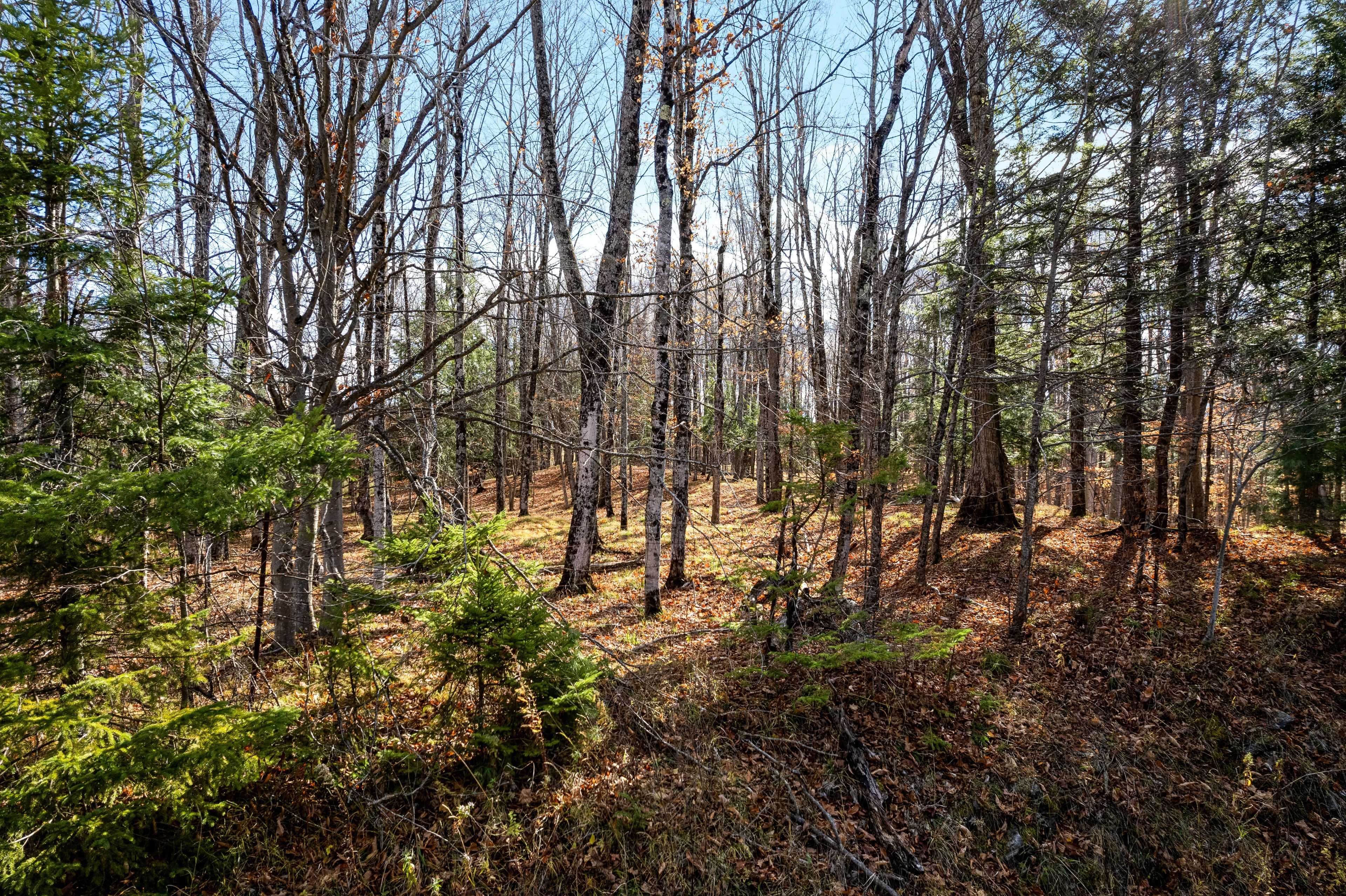 Lanark Highlands, ON K0G 1K0,PT 3-00 Herron Mills RD