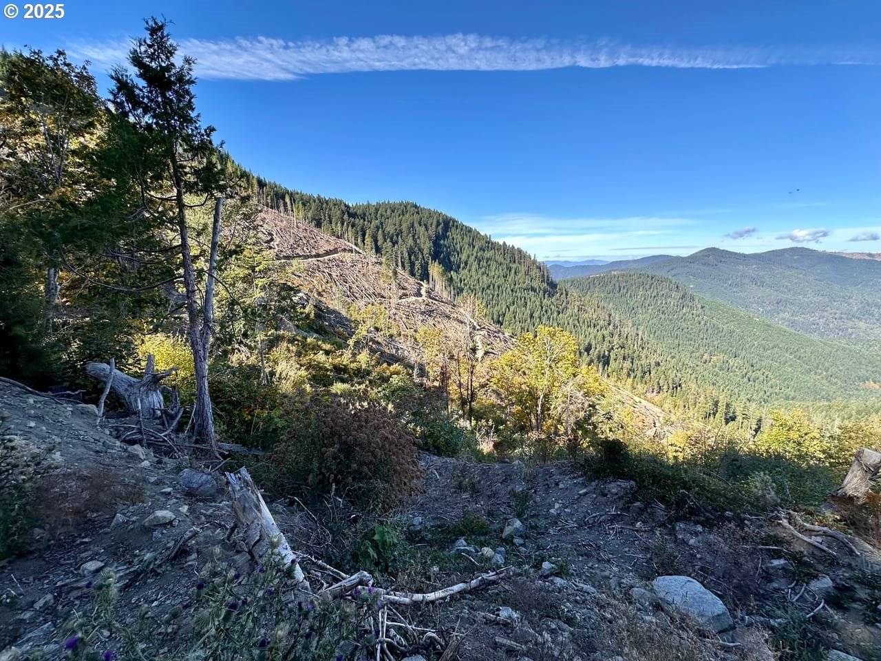 Williams, OR 97544,W Williams Creek Rd